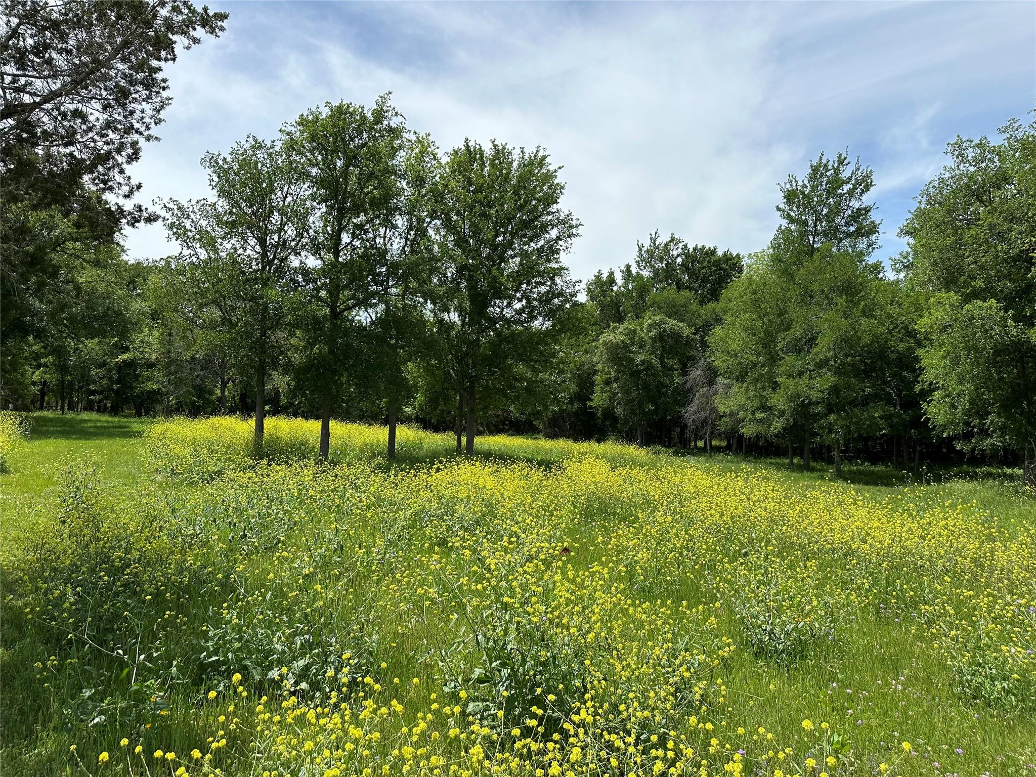 132 Quiet Oak Cv, Liberty Hill, TX 78642