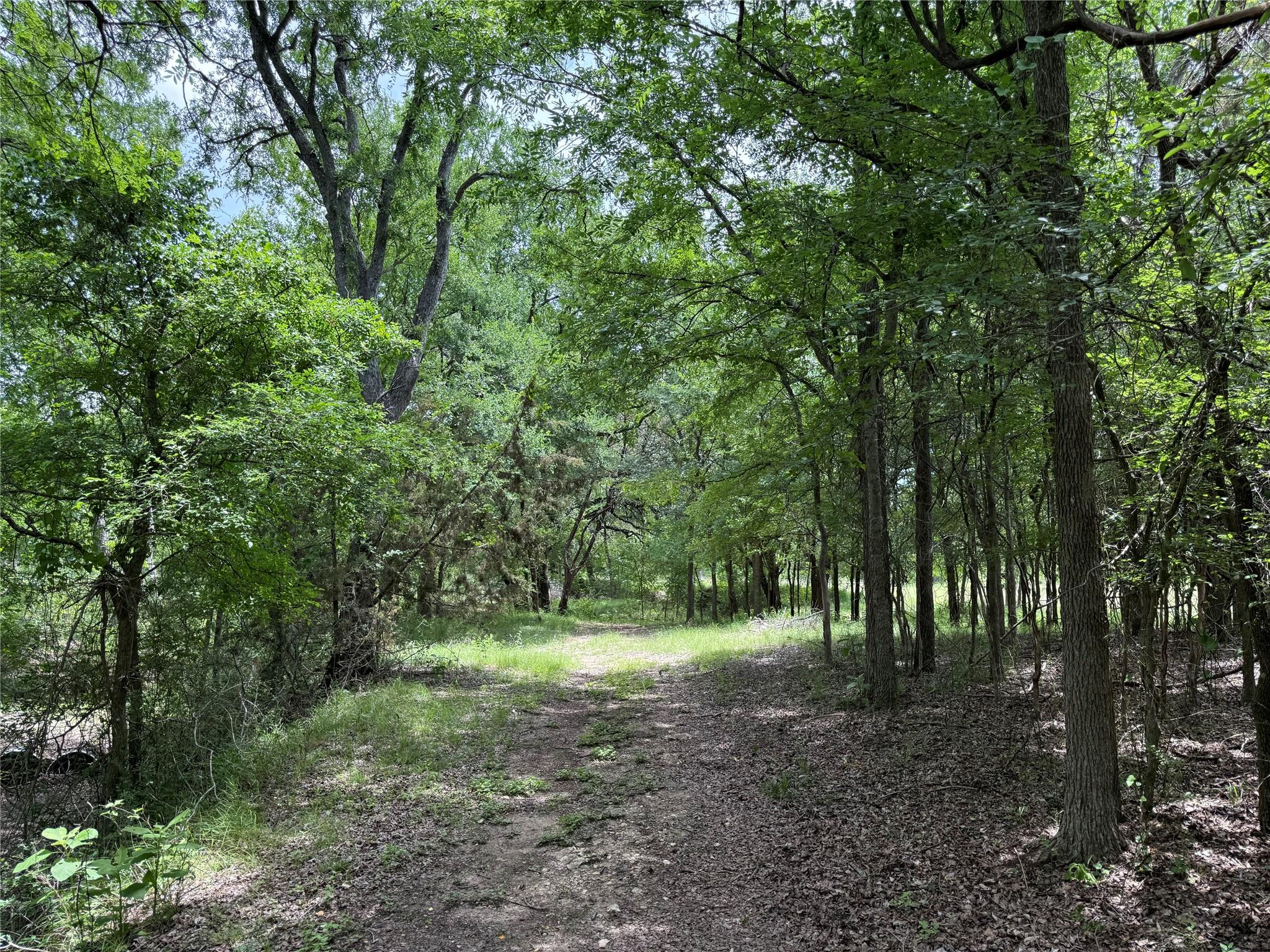 132 Quiet Oak Cv, Liberty Hill, TX 78642