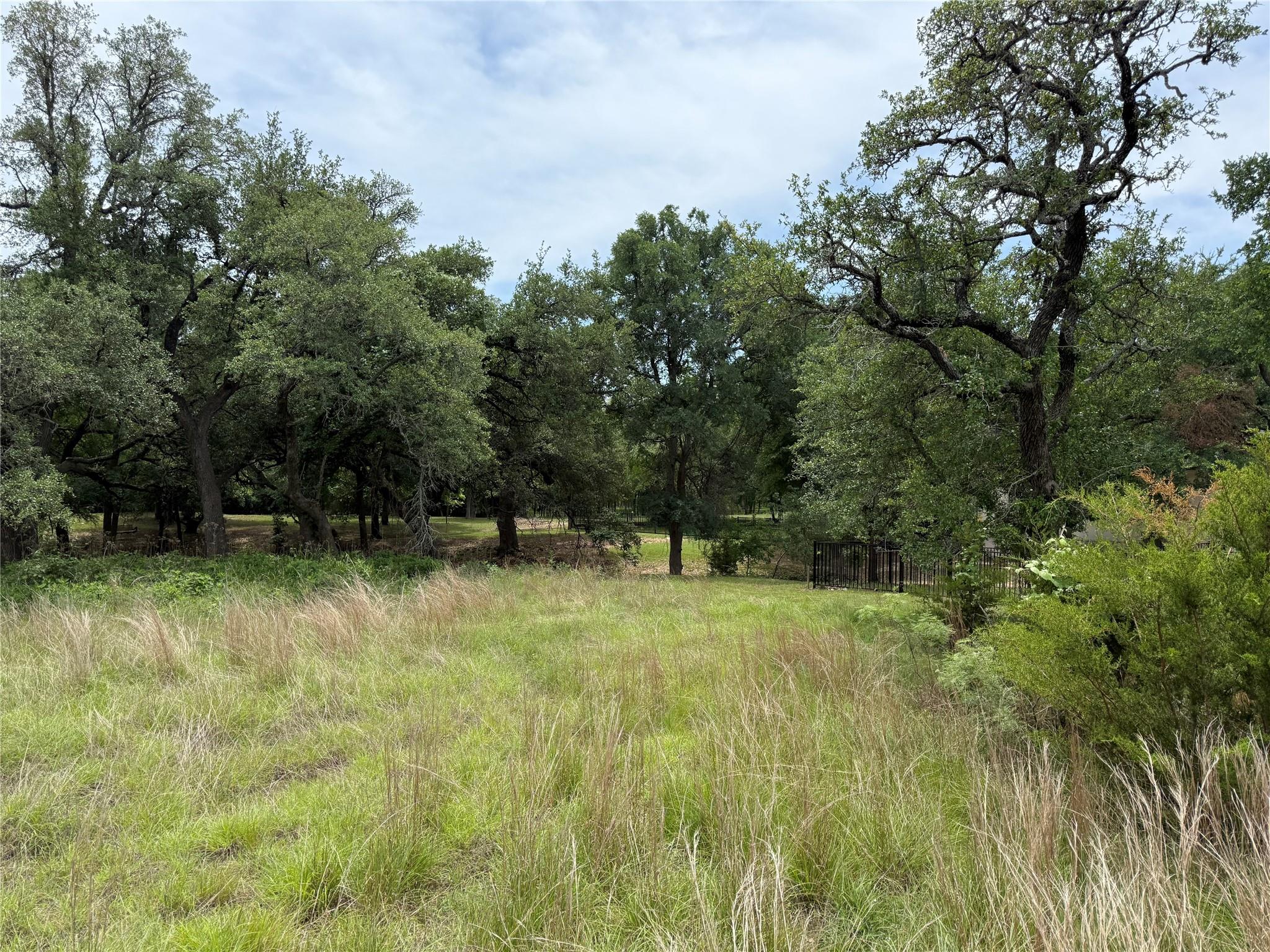 132 Quiet Oak Cv, Liberty Hill, TX 78642