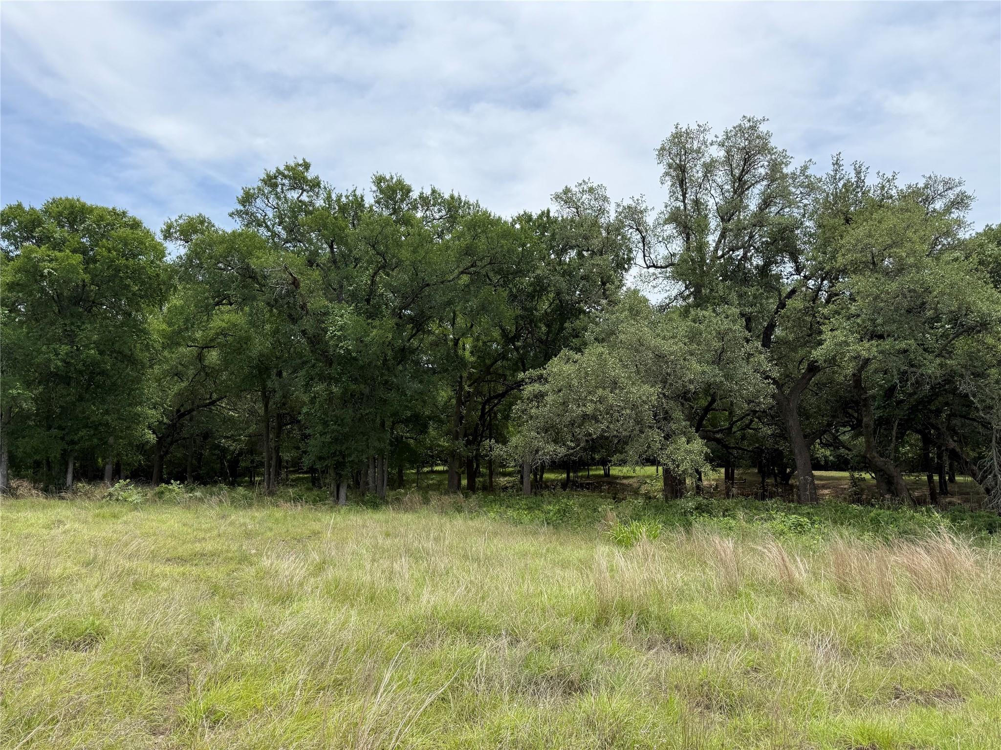 132 Quiet Oak Cv, Liberty Hill, TX 78642