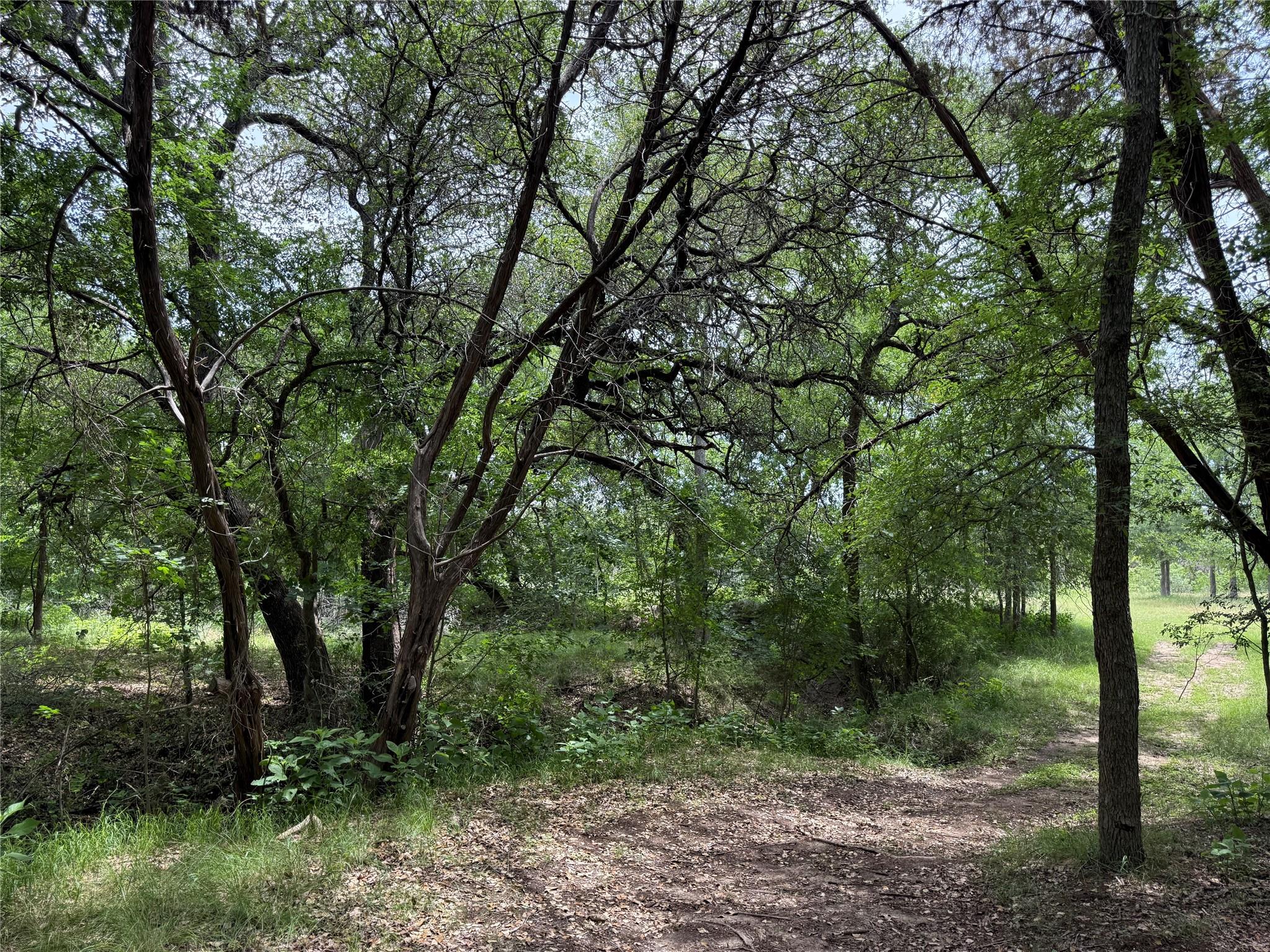 132 Quiet Oak Cv, Liberty Hill, TX 78642