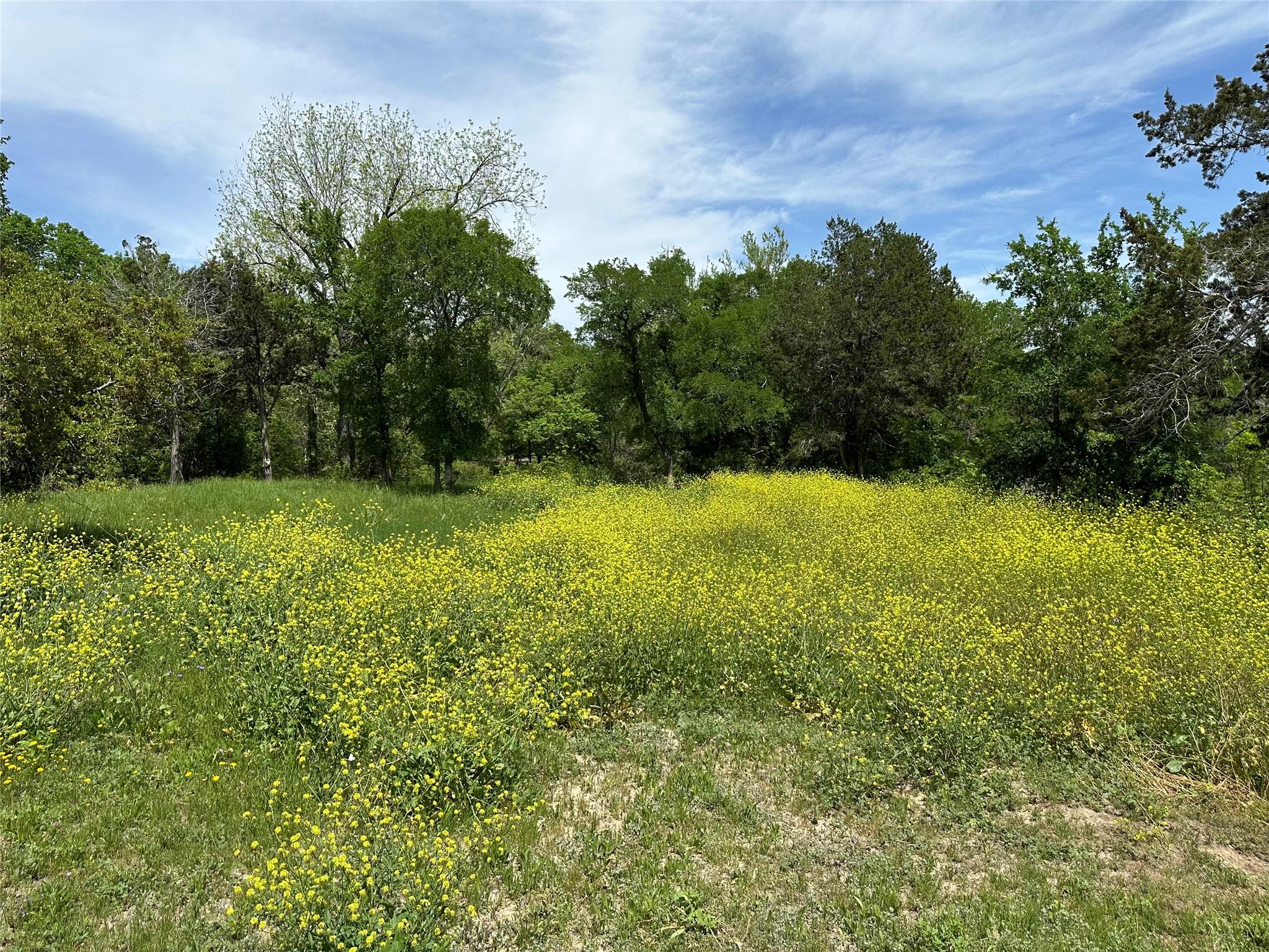 132 Quiet Oak Cv, Liberty Hill, TX 78642