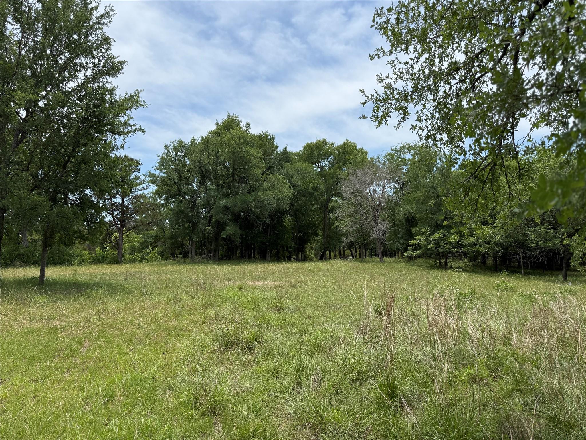 132 Quiet Oak Cv, Liberty Hill, TX 78642