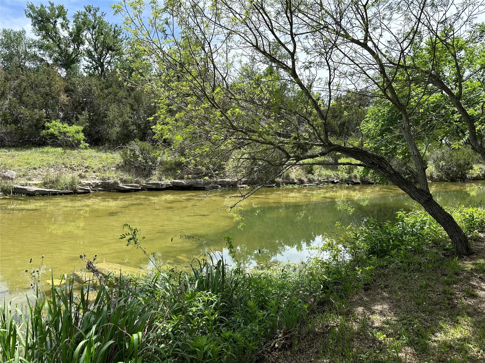 132 Quiet Oak Cv, Liberty Hill, TX 78642