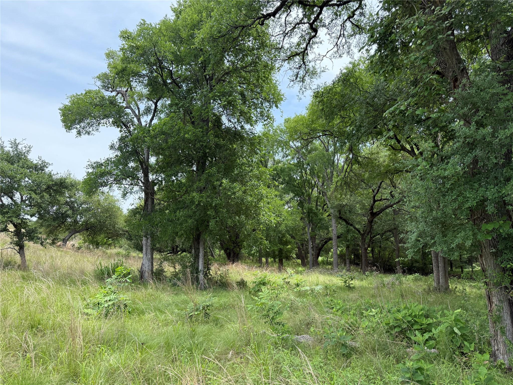 132 Quiet Oak Cv, Liberty Hill, TX 78642