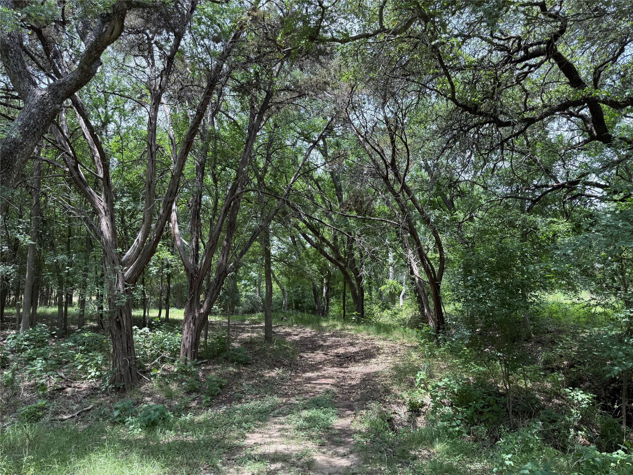 132 Quiet Oak Cv, Liberty Hill, TX 78642