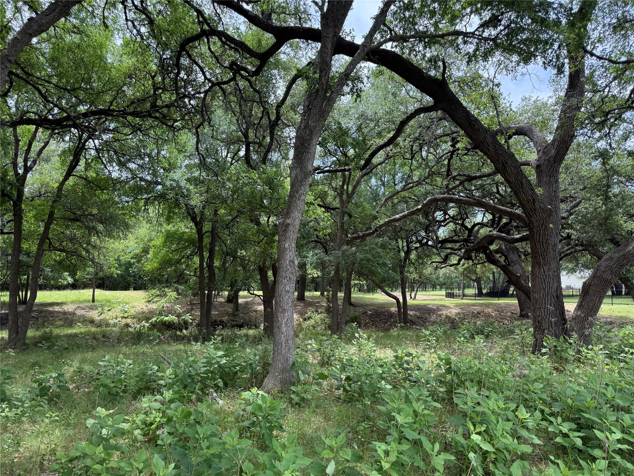 132 Quiet Oak Cv, Liberty Hill, TX 78642