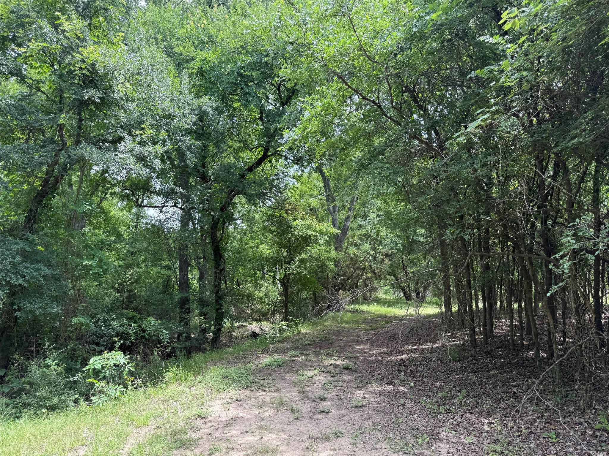 132 Quiet Oak Cv, Liberty Hill, TX 78642