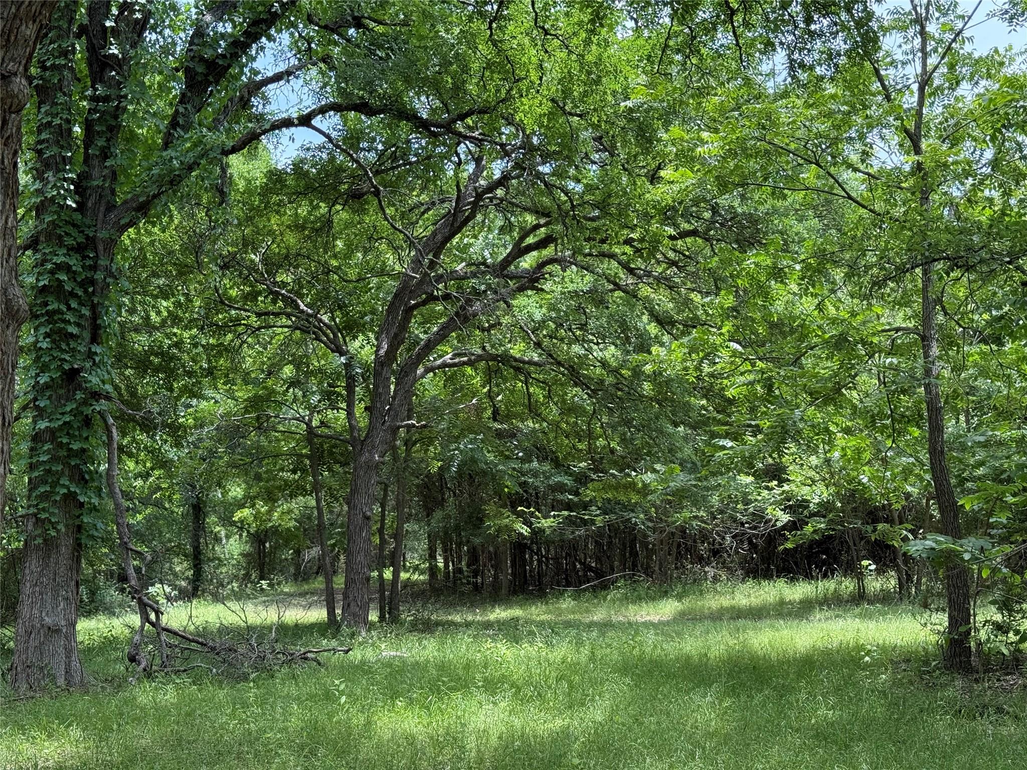 132 Quiet Oak Cv, Liberty Hill, TX 78642