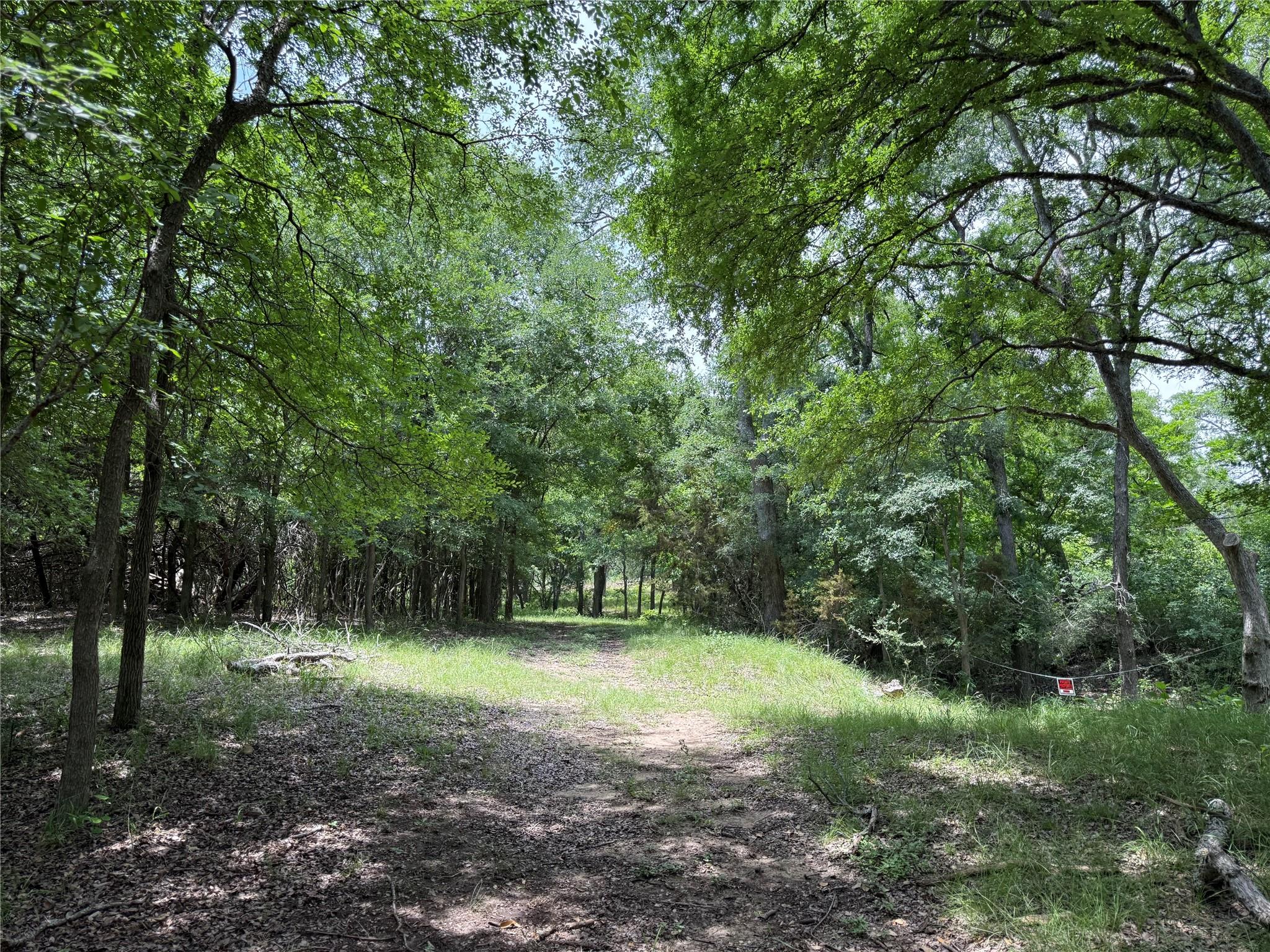 132 Quiet Oak Cv, Liberty Hill, TX 78642