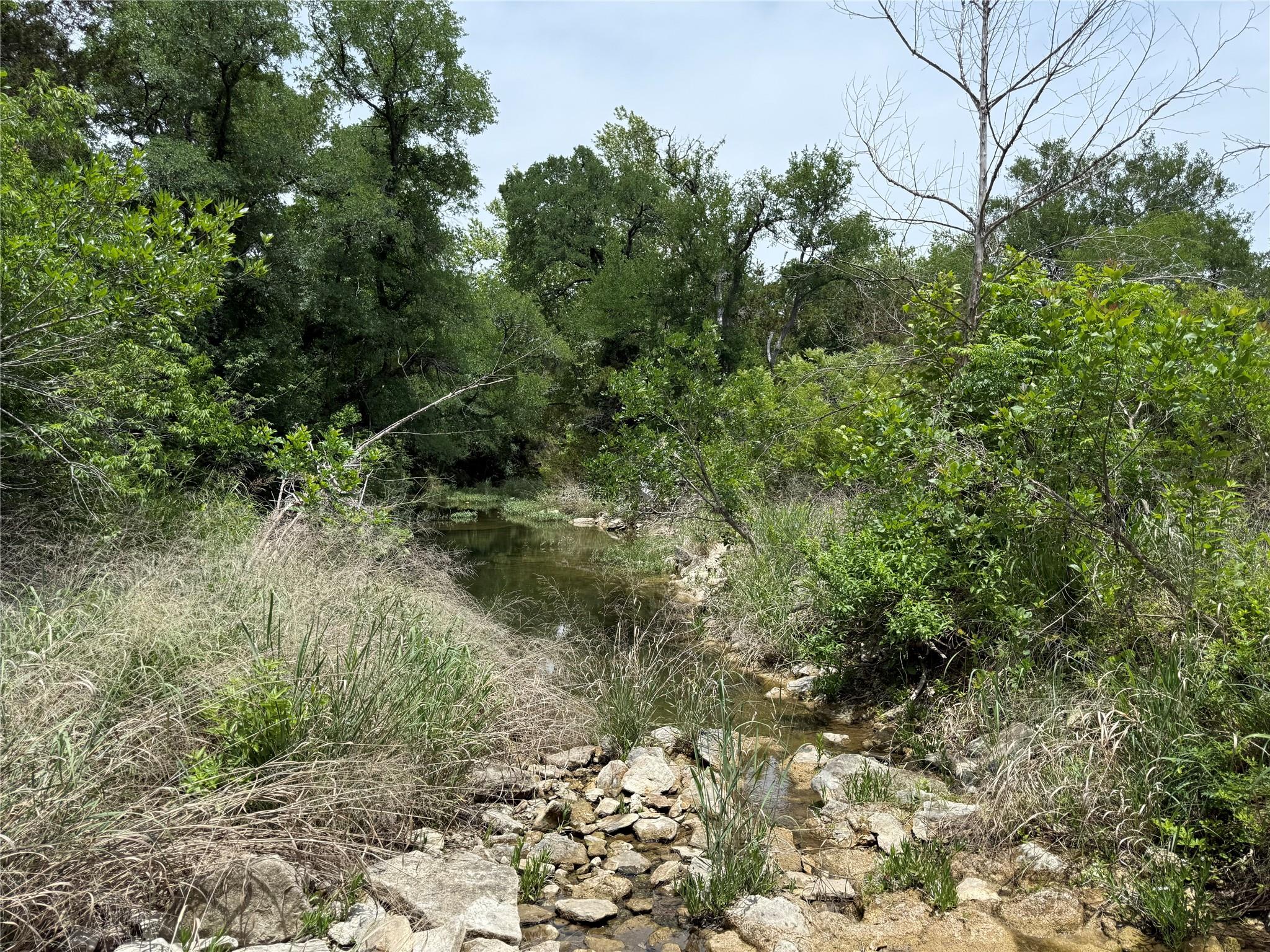 132 Quiet Oak Cv, Liberty Hill, TX 78642