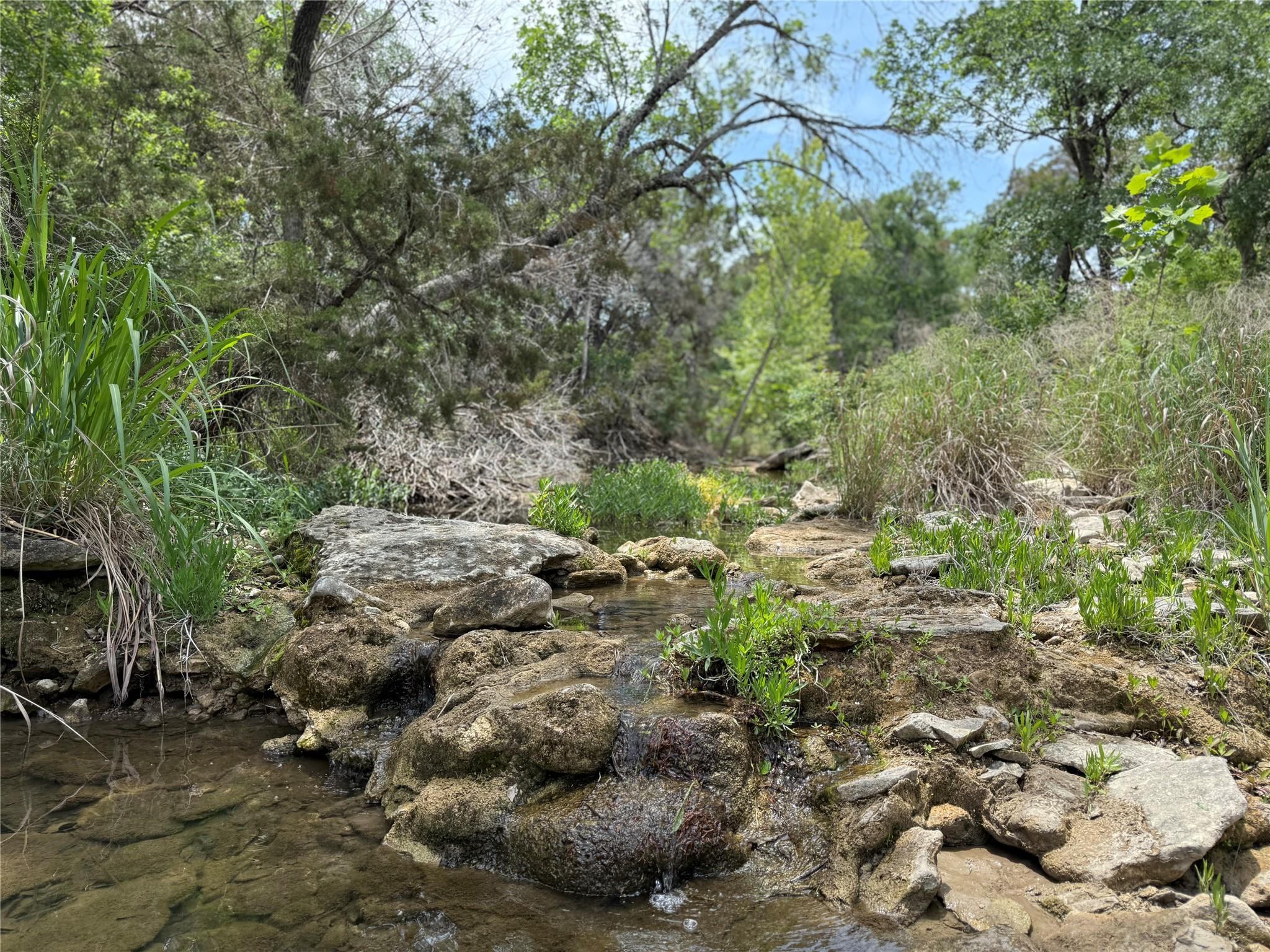 132 Quiet Oak Cv, Liberty Hill, TX 78642