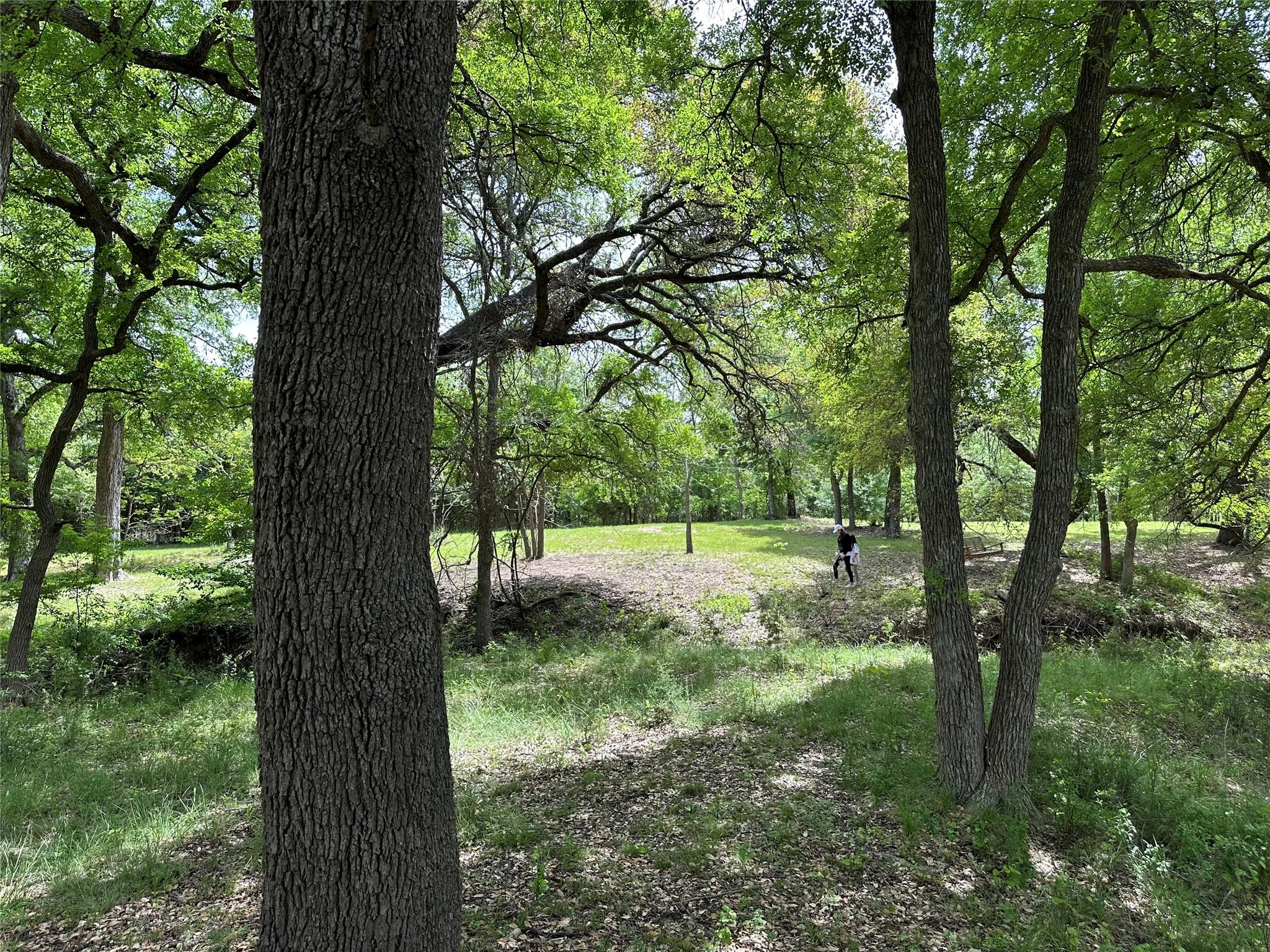 132 Quiet Oak Cv, Liberty Hill, TX 78642