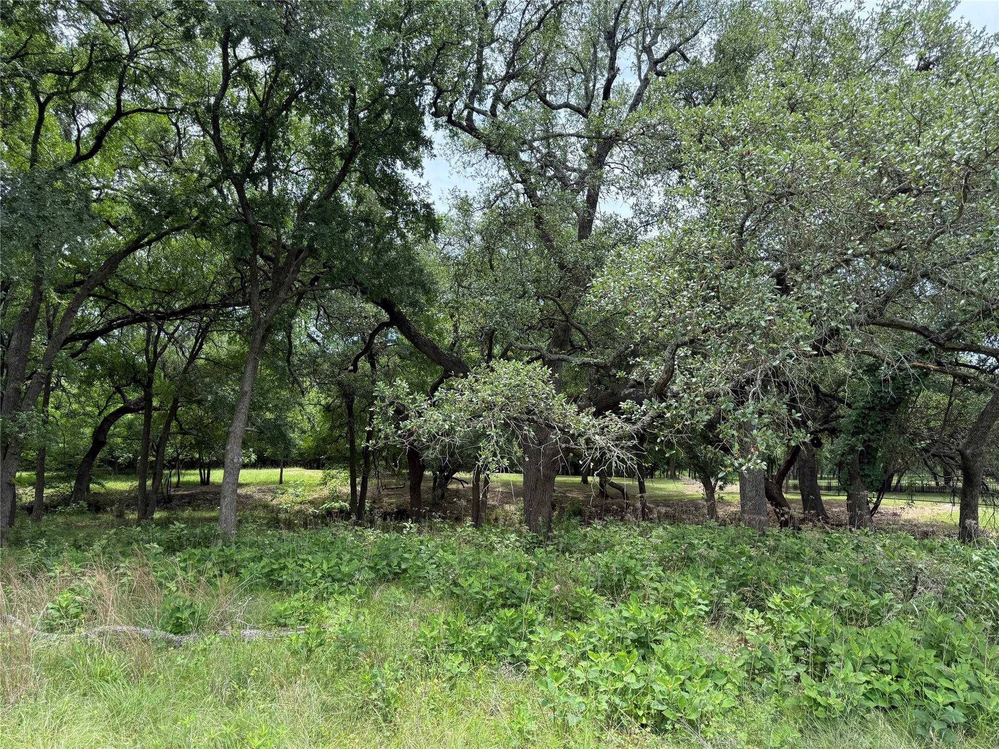 132 Quiet Oak Cv, Liberty Hill, TX 78642