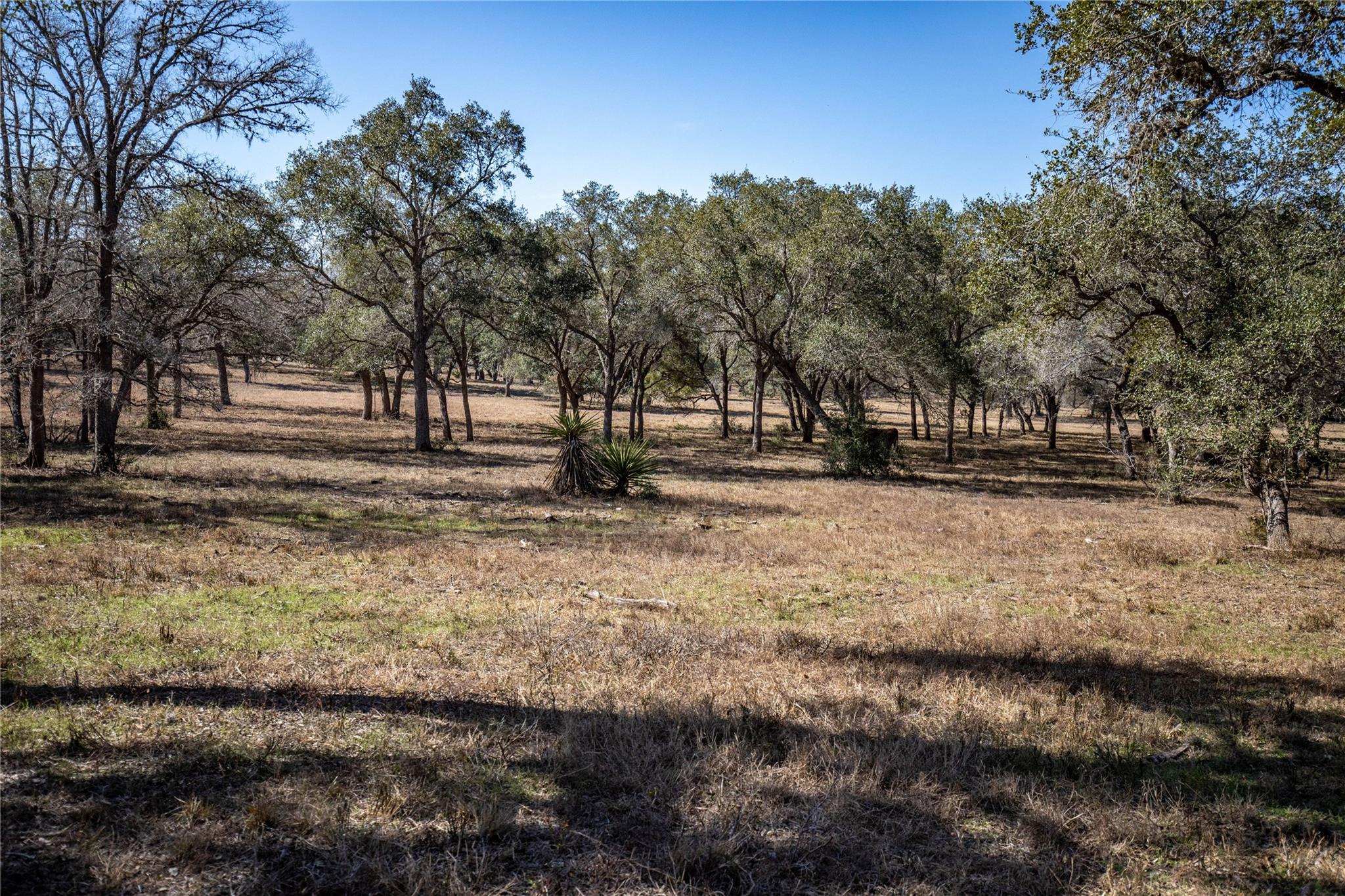 7659 US Highway 87, Cuero, TX 77954