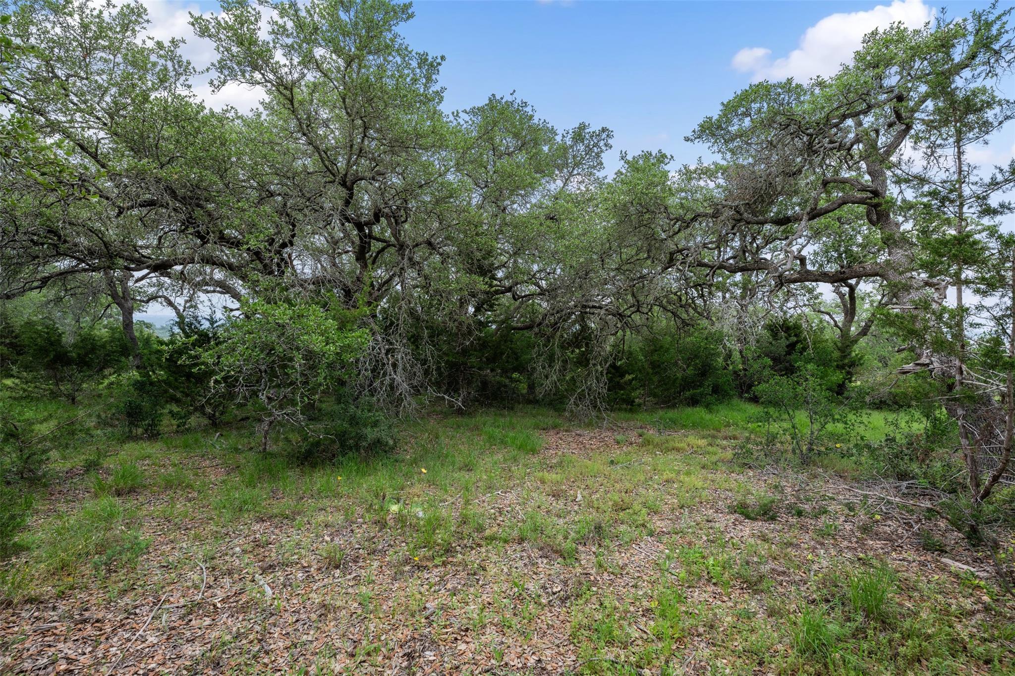 155 Crosswater Ln, Dripping Springs, TX 78620