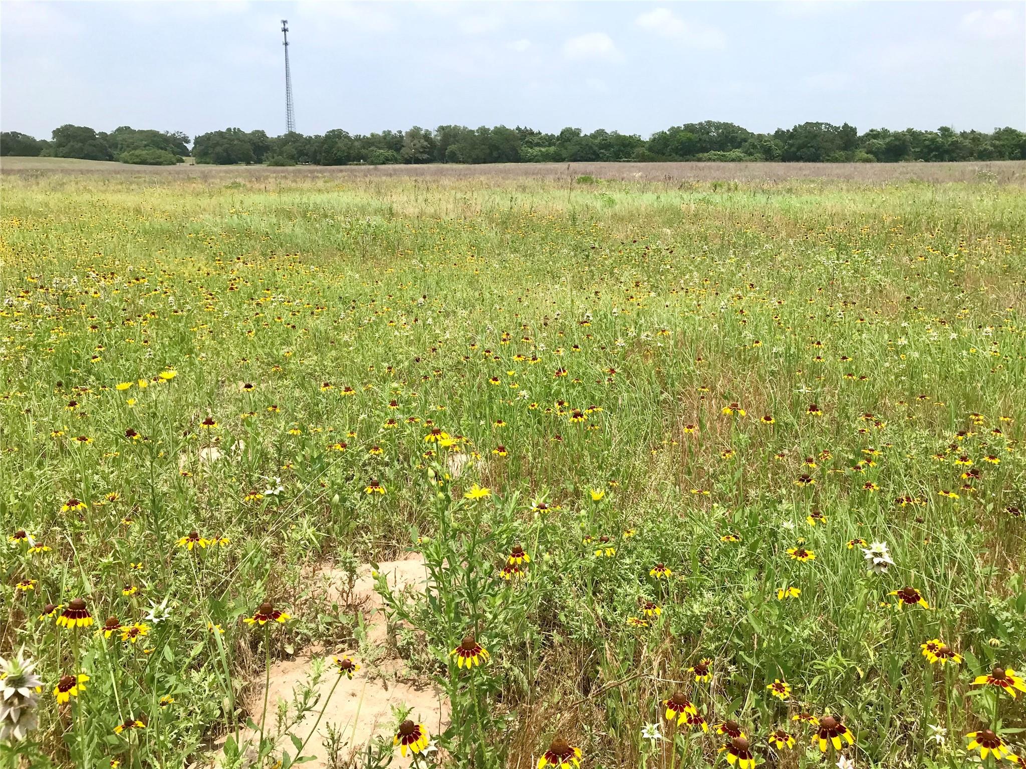 1672 Tract 2 Sayers Rd, Bastrop, TX 78602