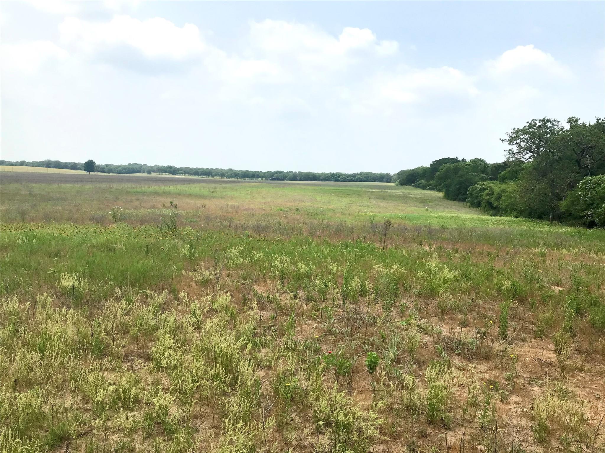 1672 Tract 2 Sayers Rd, Bastrop, TX 78602