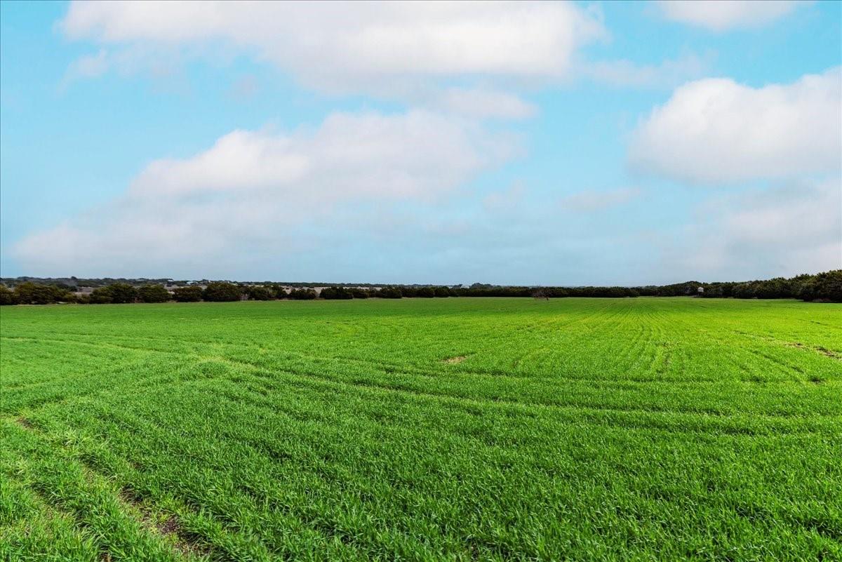 420 Iva Bell Ln, Liberty Hill, TX 78642