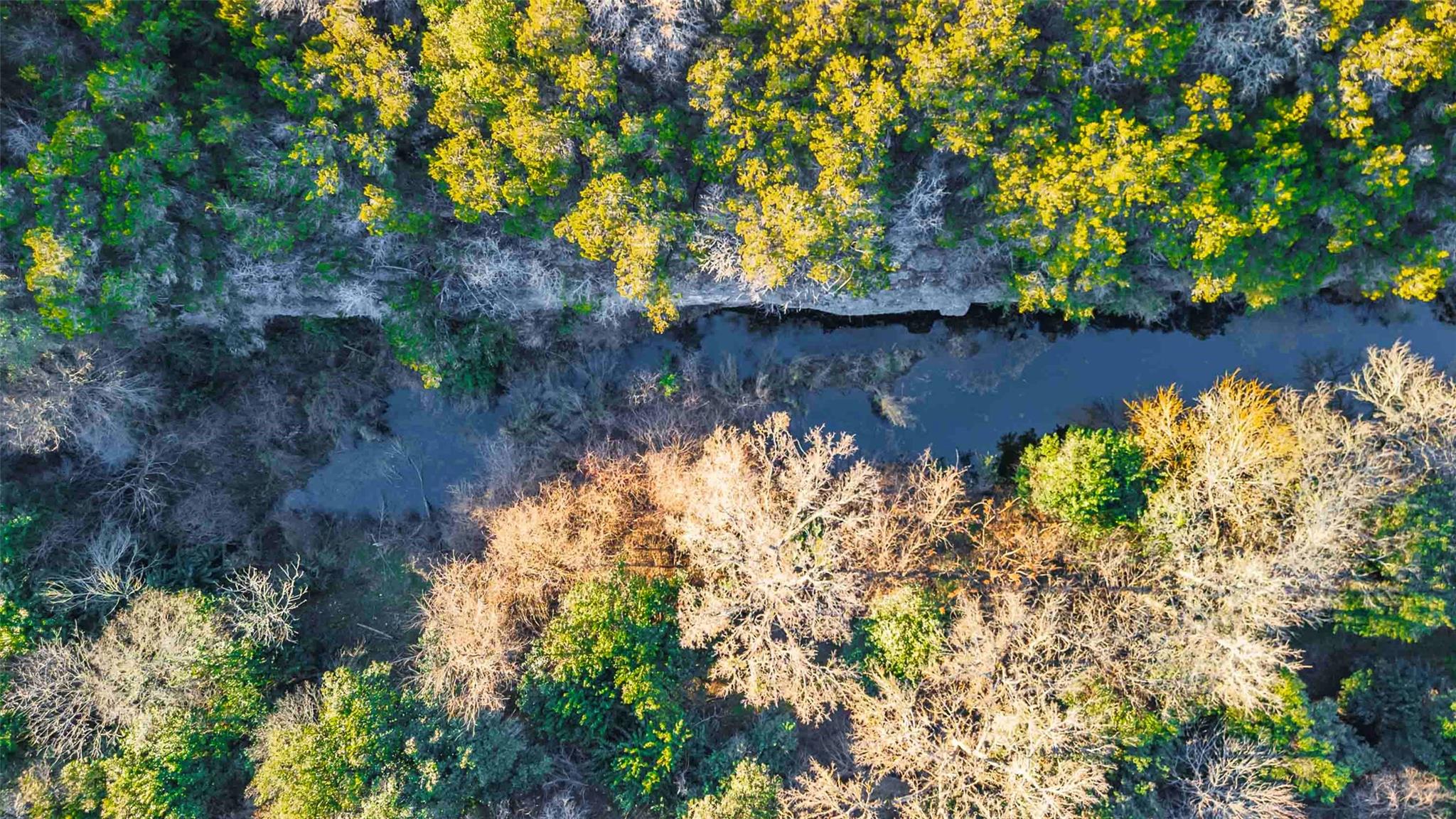 13017 Bob Johnson Ln # C, Manchaca, TX 78652