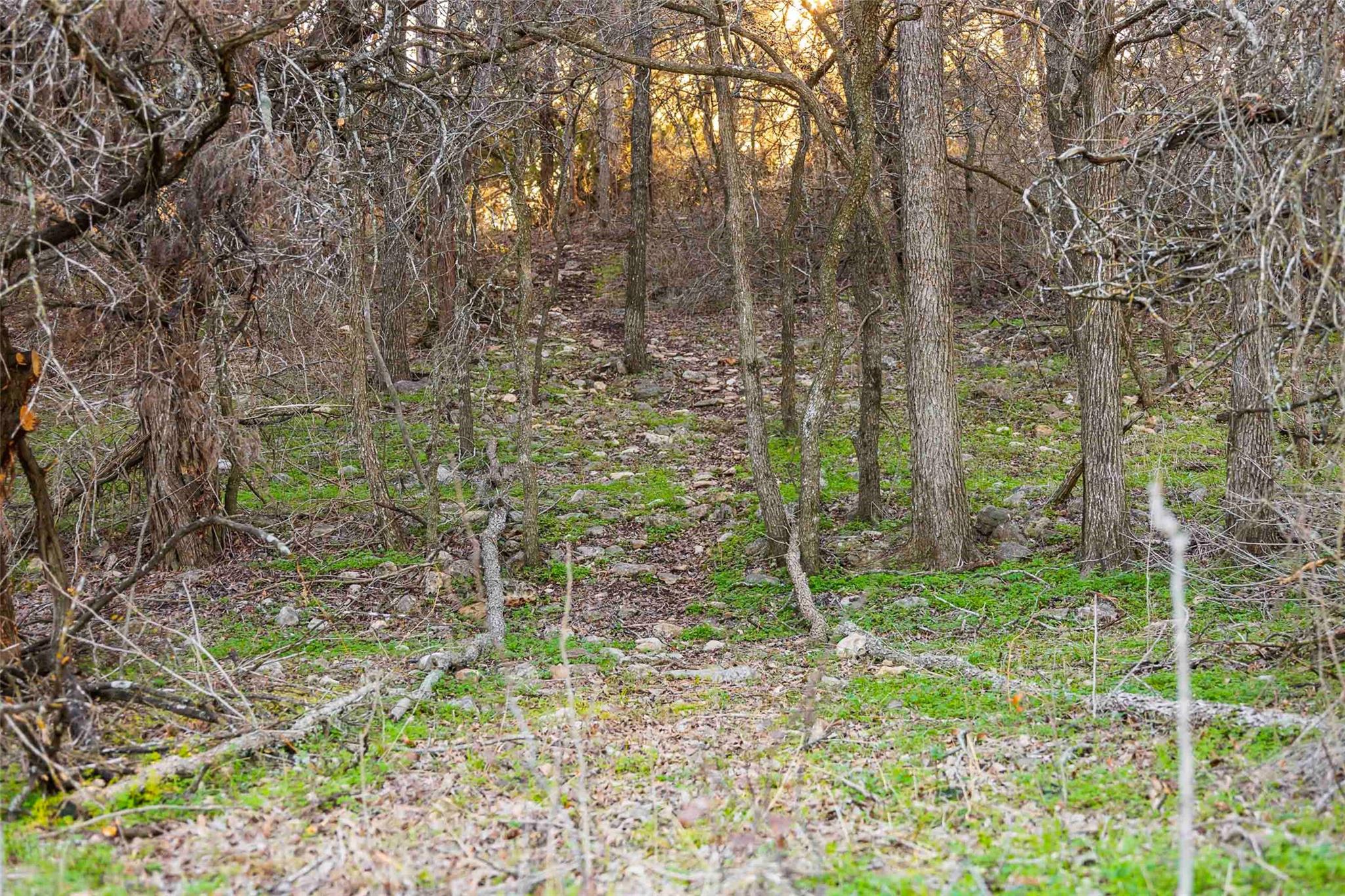 13017 Bob Johnson Ln # C, Manchaca, TX 78652