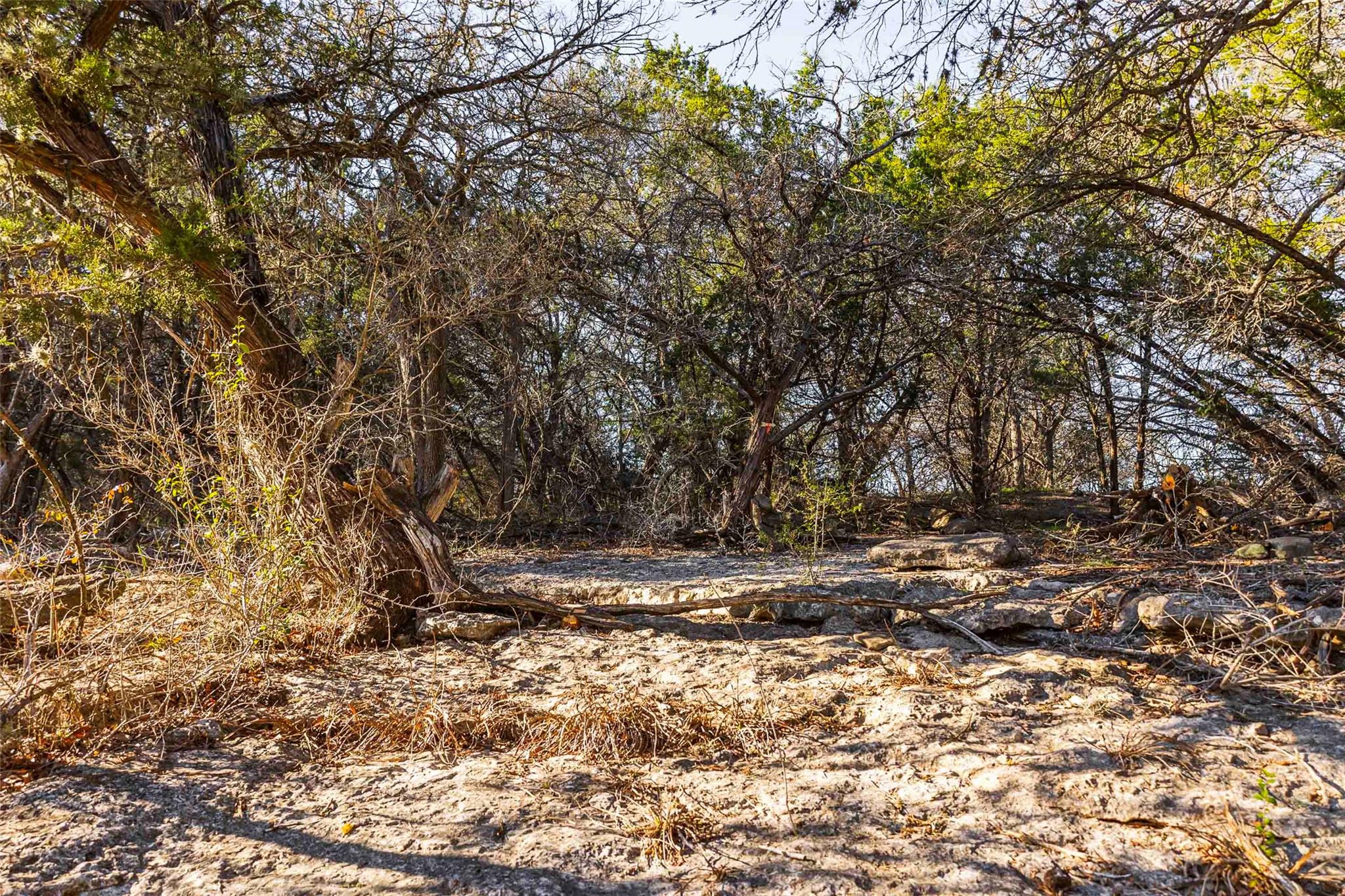 13017 Bob Johnson Ln # C, Manchaca, TX 78652