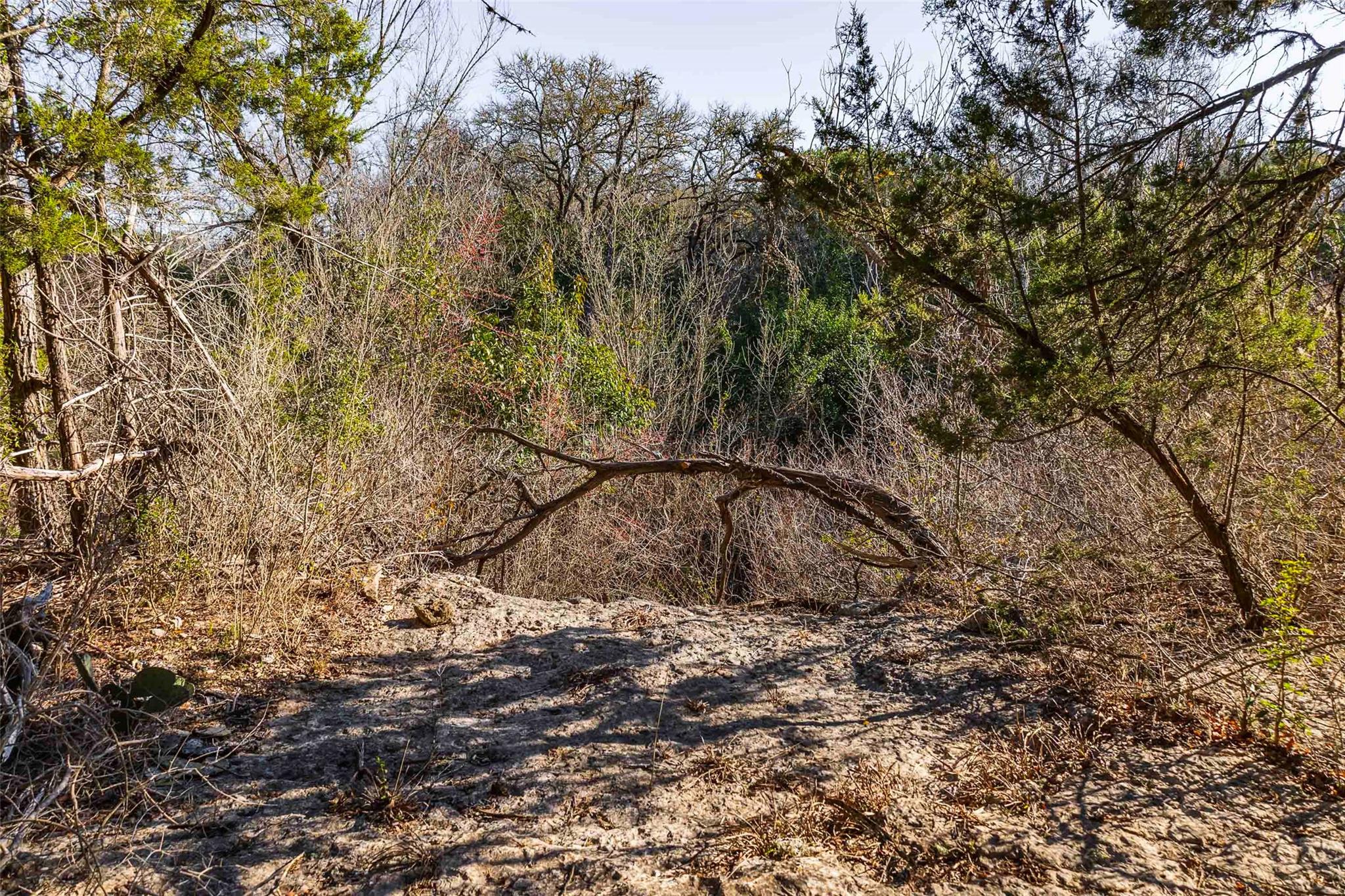 13017 Bob Johnson Ln # C, Manchaca, TX 78652