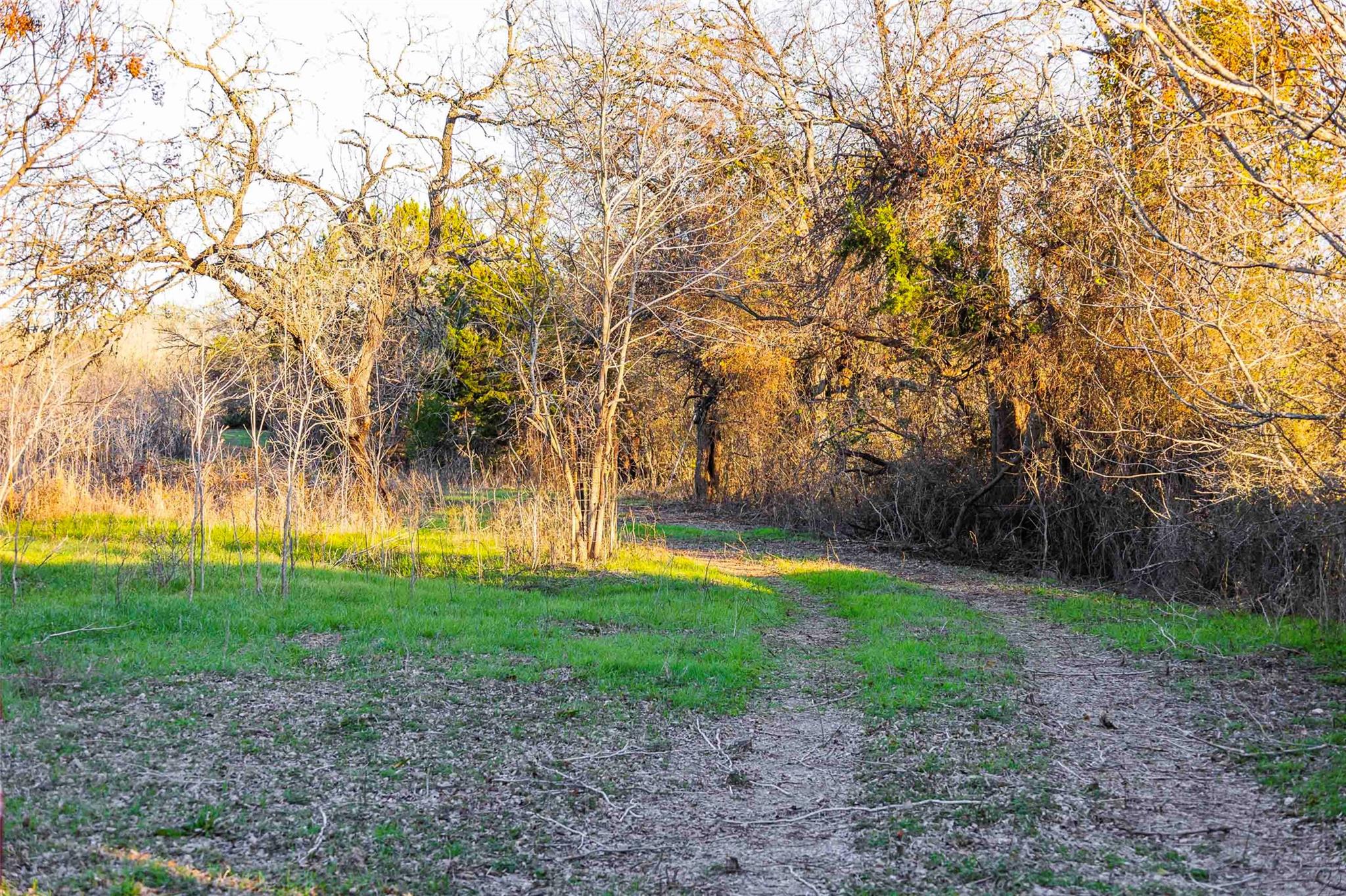 13017 Bob Johnson Ln # C, Manchaca, TX 78652