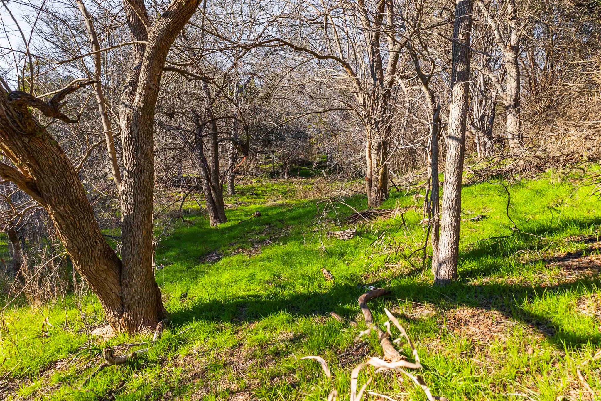 13017 Bob Johnson Ln # C, Manchaca, TX 78652