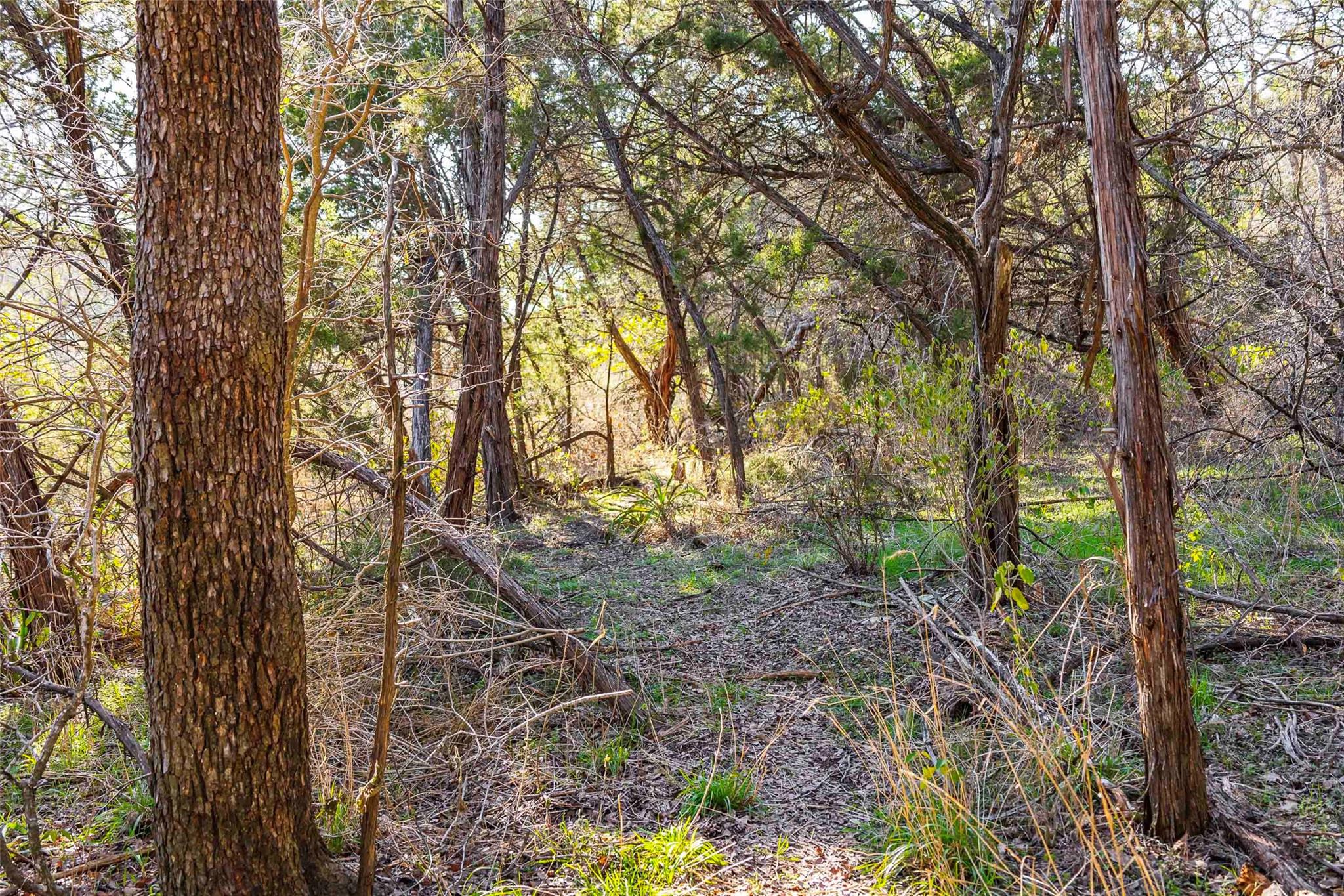 13017 Bob Johnson Ln # C, Manchaca, TX 78652