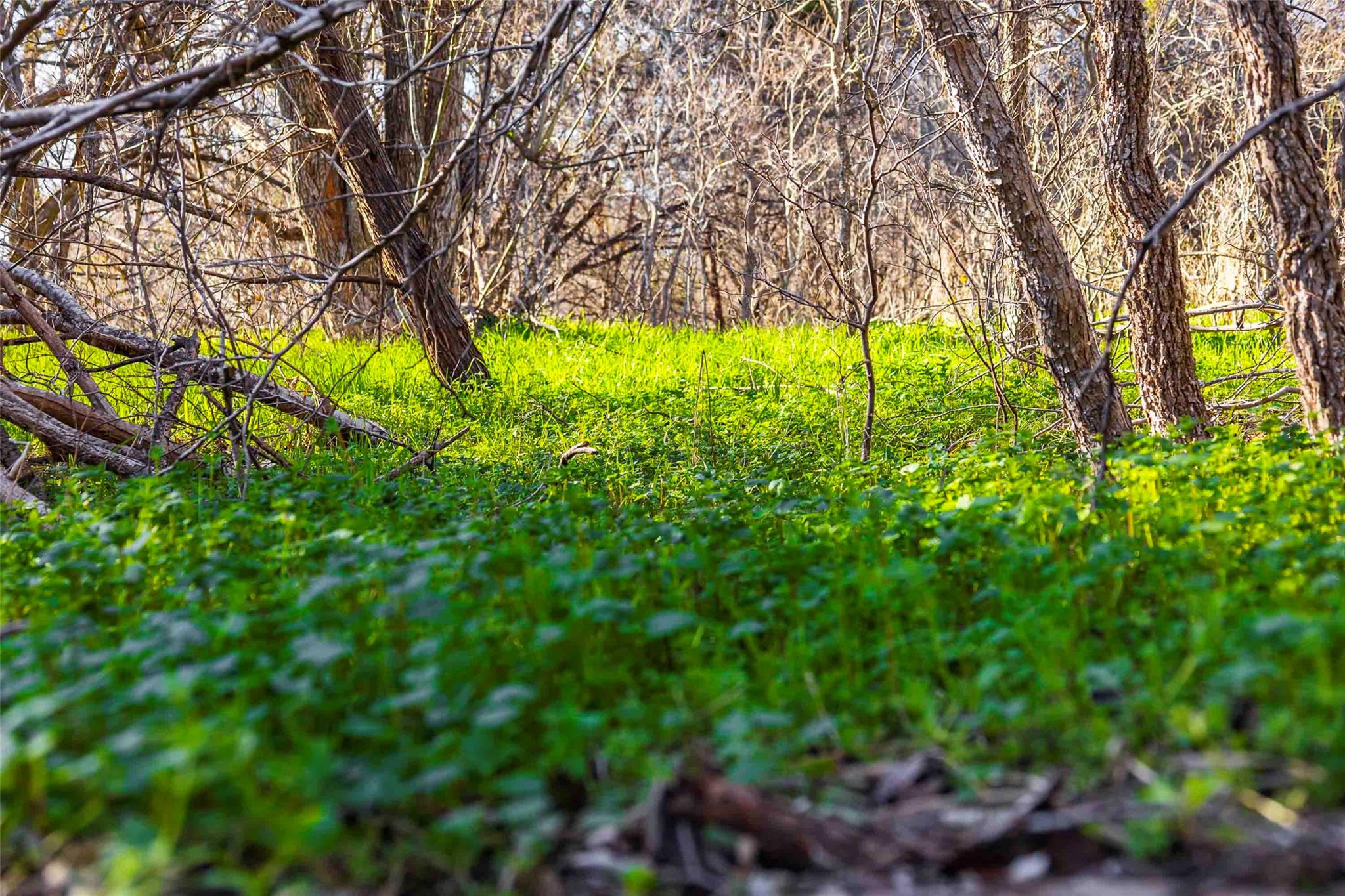 13017 Bob Johnson Ln # C, Manchaca, TX 78652