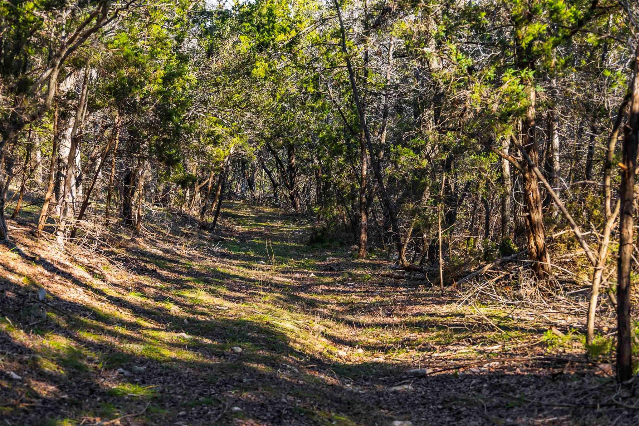 13017 Bob Johnson Ln # C, Manchaca, TX 78652