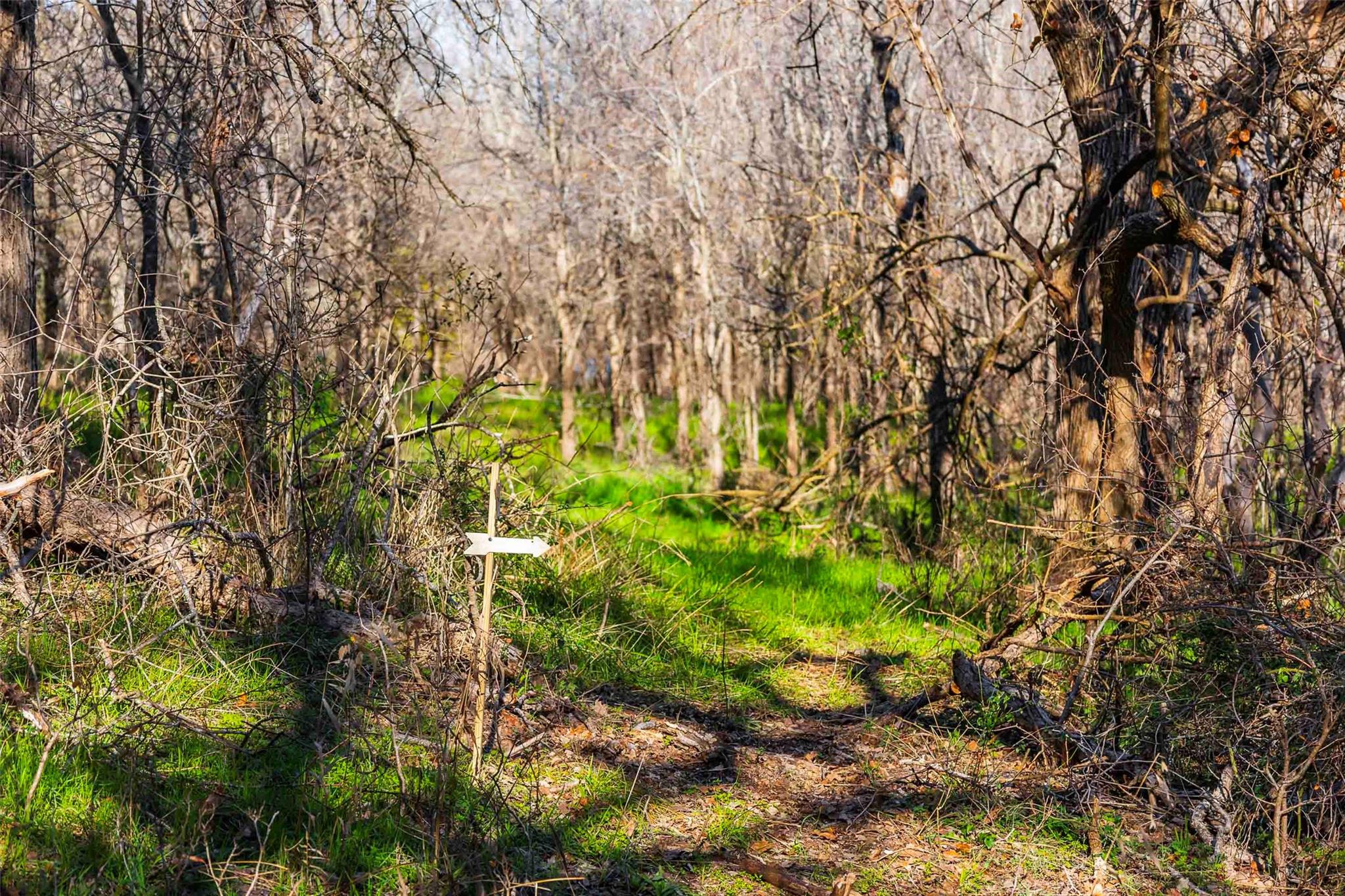 13017 Bob Johnson Ln # C, Manchaca, TX 78652