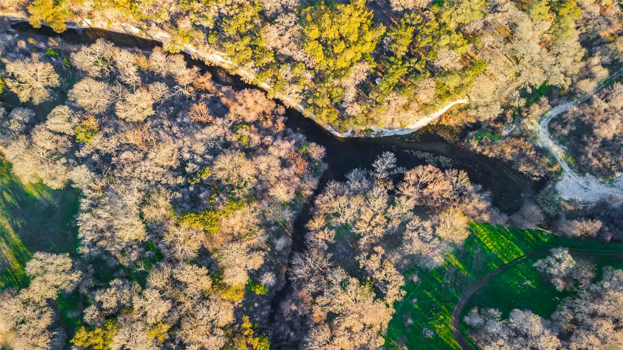 13017 Bob Johnson Ln # C, Manchaca, TX 78652