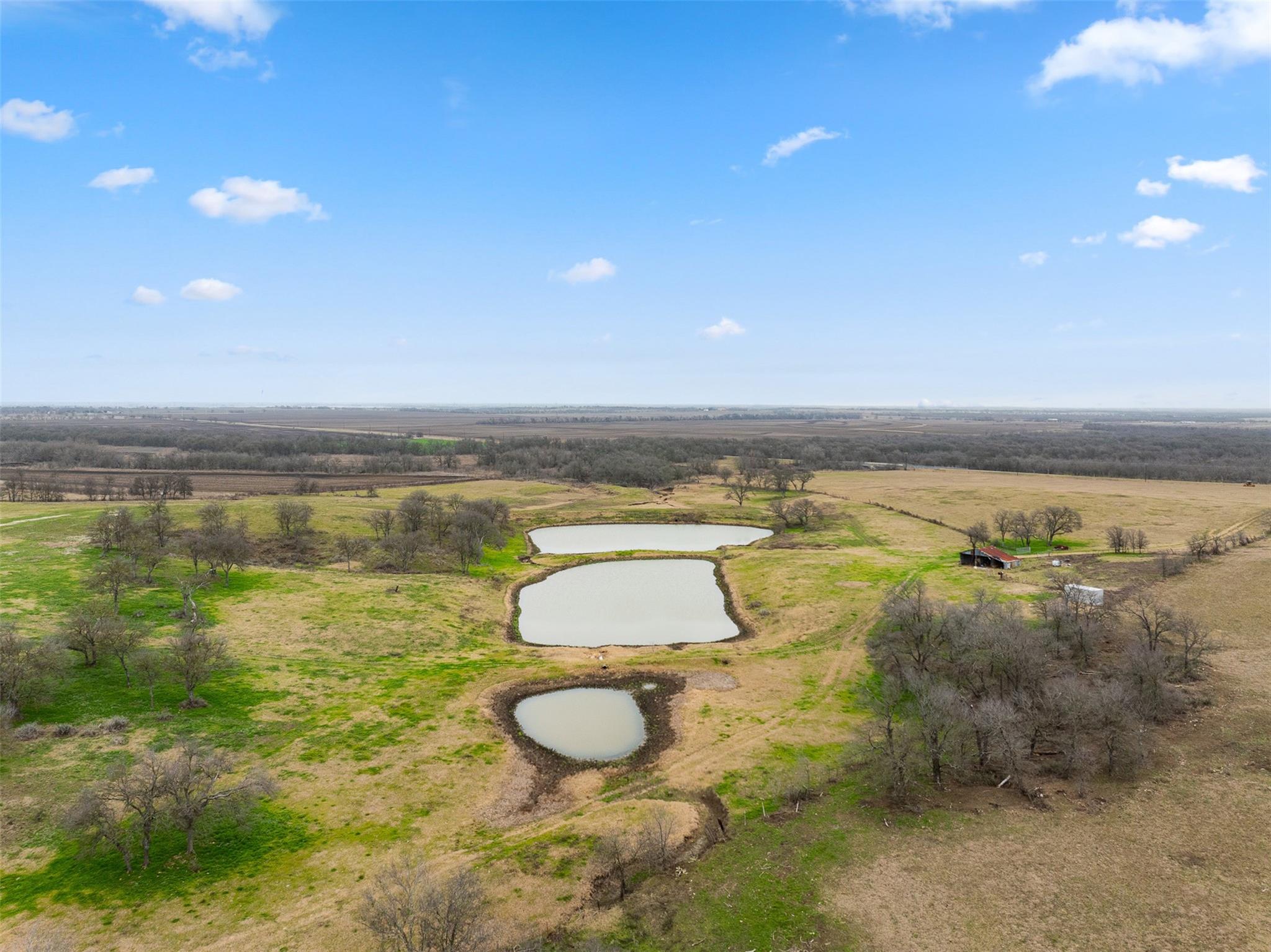 2061 FM 1445, Cameron, TX 76520