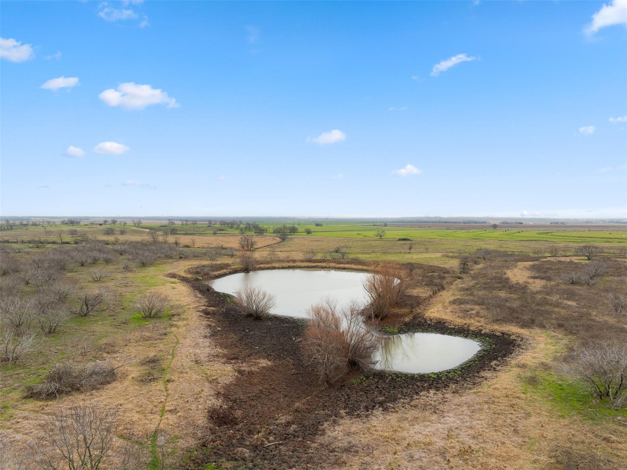 2061 FM 1445, Cameron, TX 76520