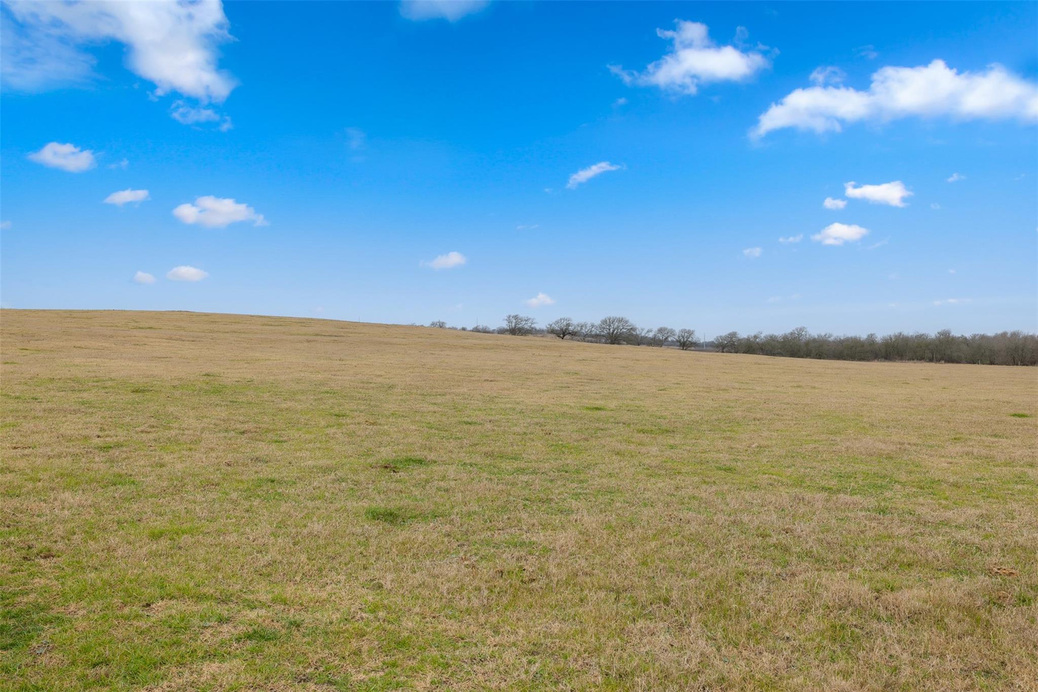 2061 FM 1445, Cameron, TX 76520