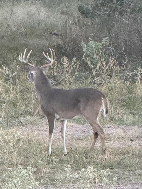 2061 FM 1445, Cameron, TX 76520