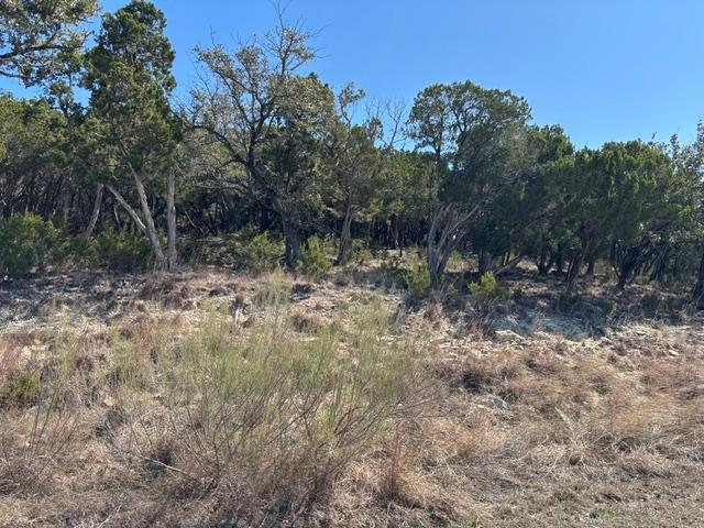 19001 Silver Maple Dr, Lago Vista, TX 78645