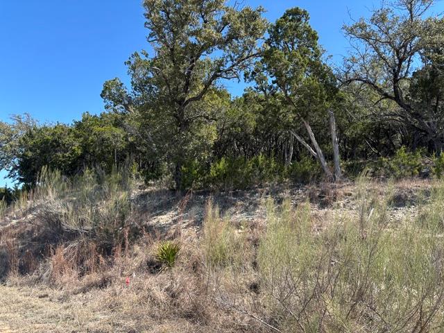 19001 Silver Maple Dr, Lago Vista, TX 78645