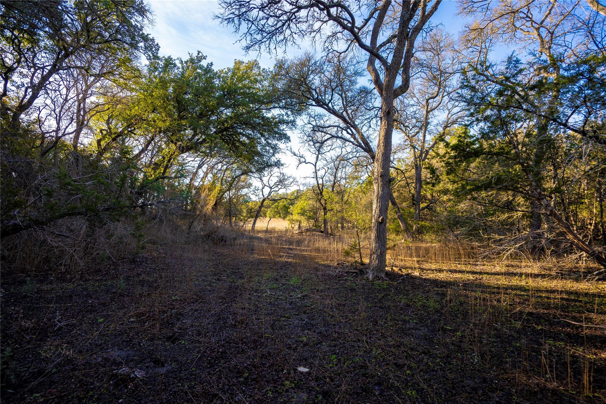 TBD FM 2657, Oakalla, TX 78608