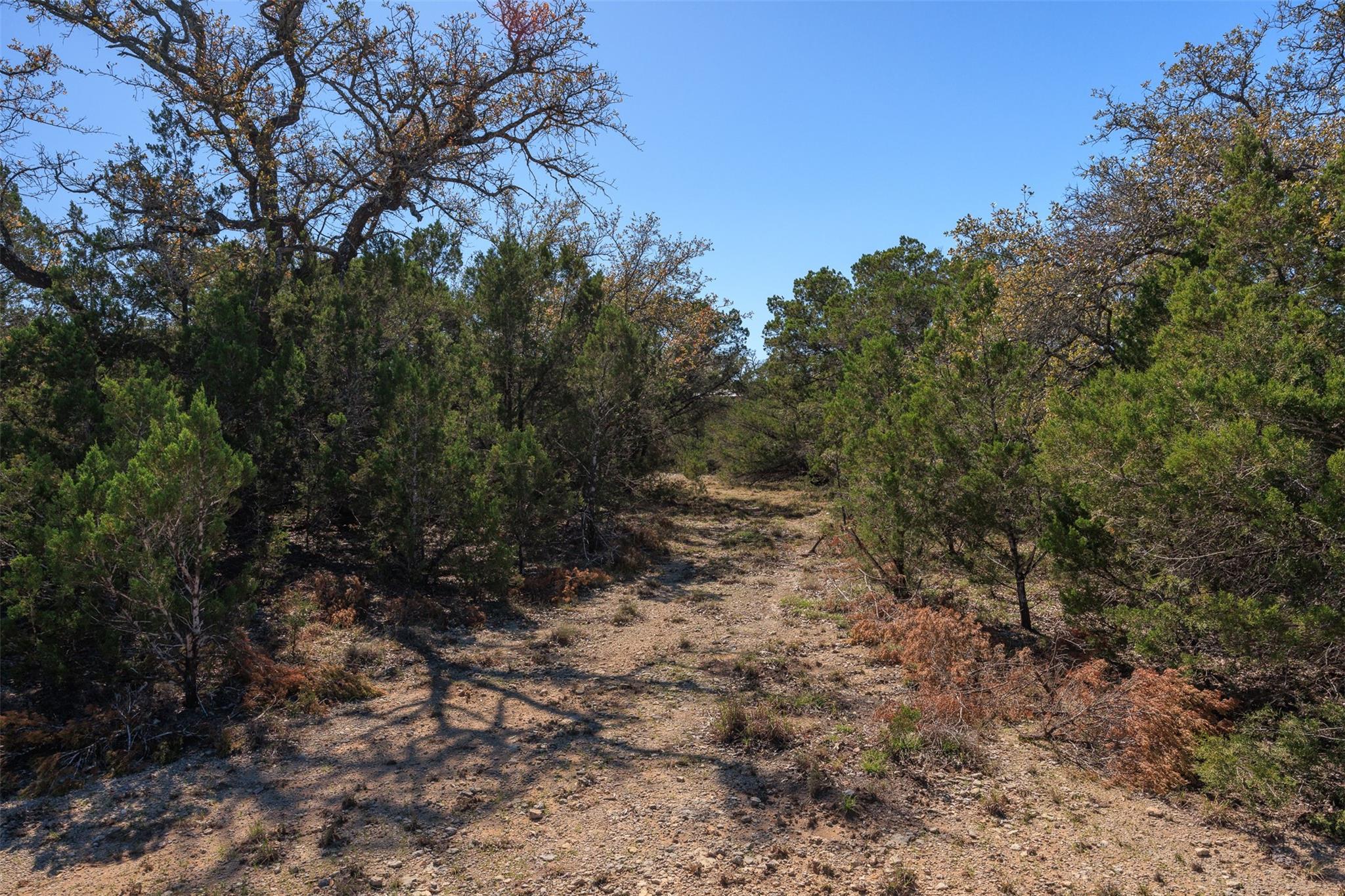 105 S Park Rd, Wimberley, TX 78676