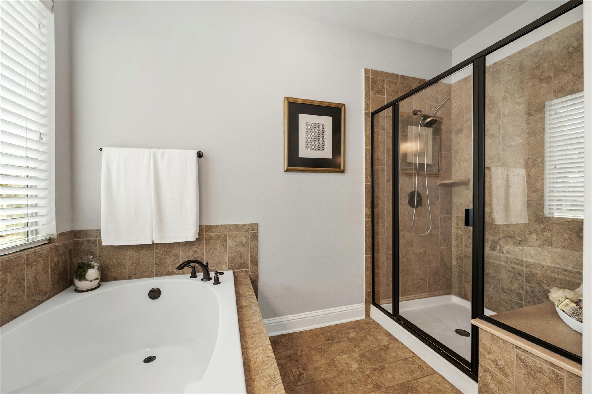 208 Wester Ross Ln, Austin, TX 78738