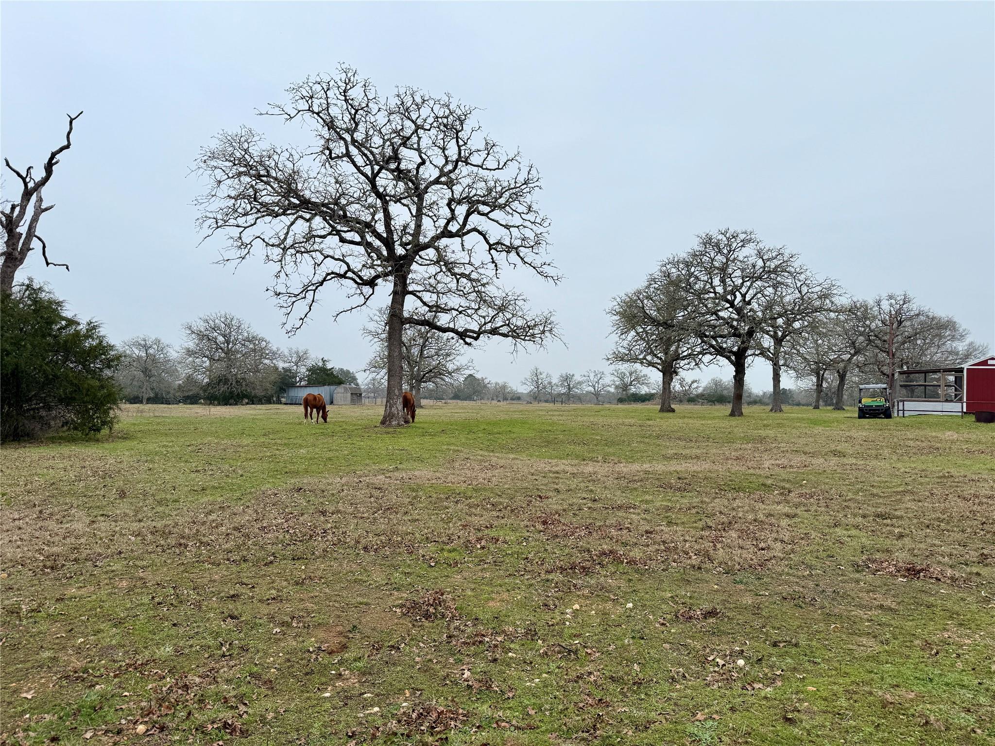 596 Nink Rd, Smithville, TX 78957