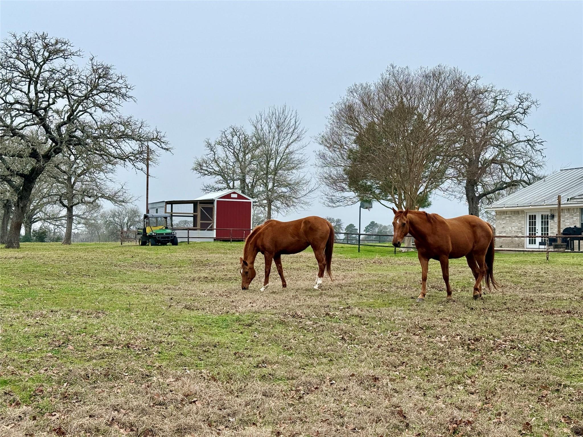 596 Nink Rd, Smithville, TX 78957