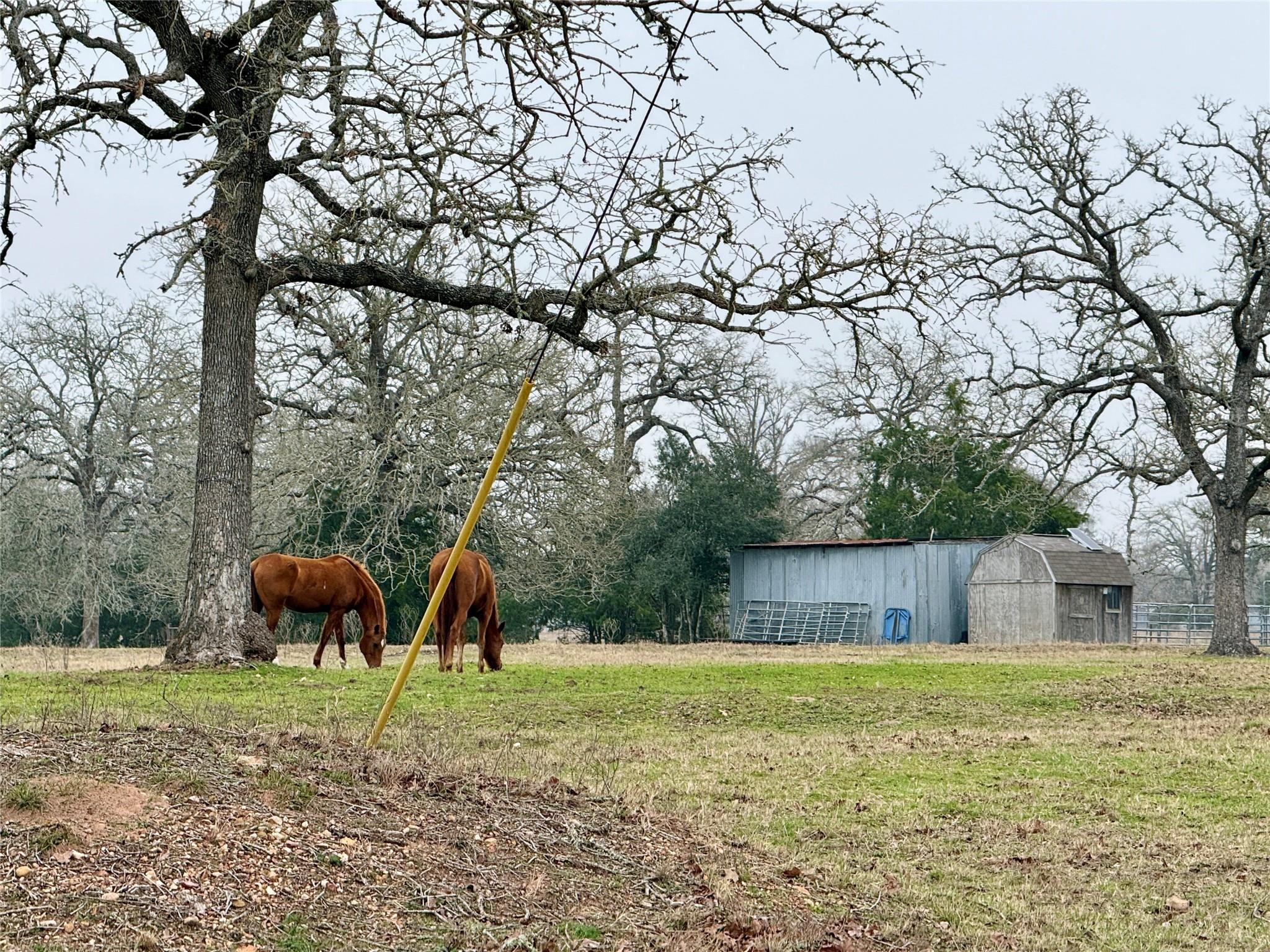 596 Nink Rd, Smithville, TX 78957