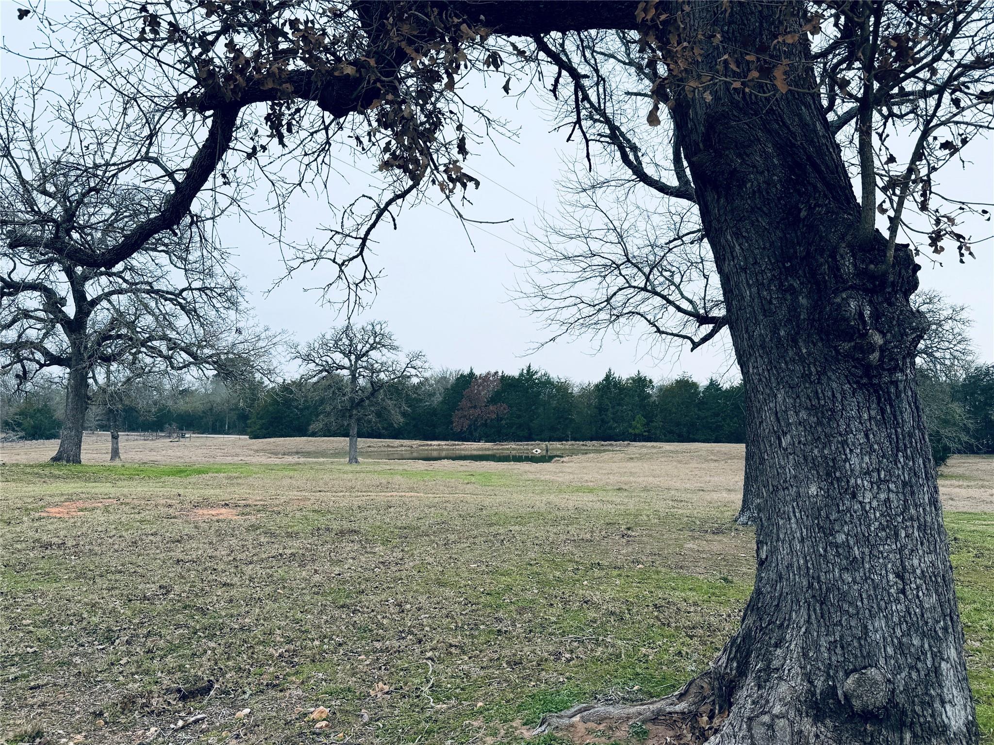 596 Nink Rd, Smithville, TX 78957