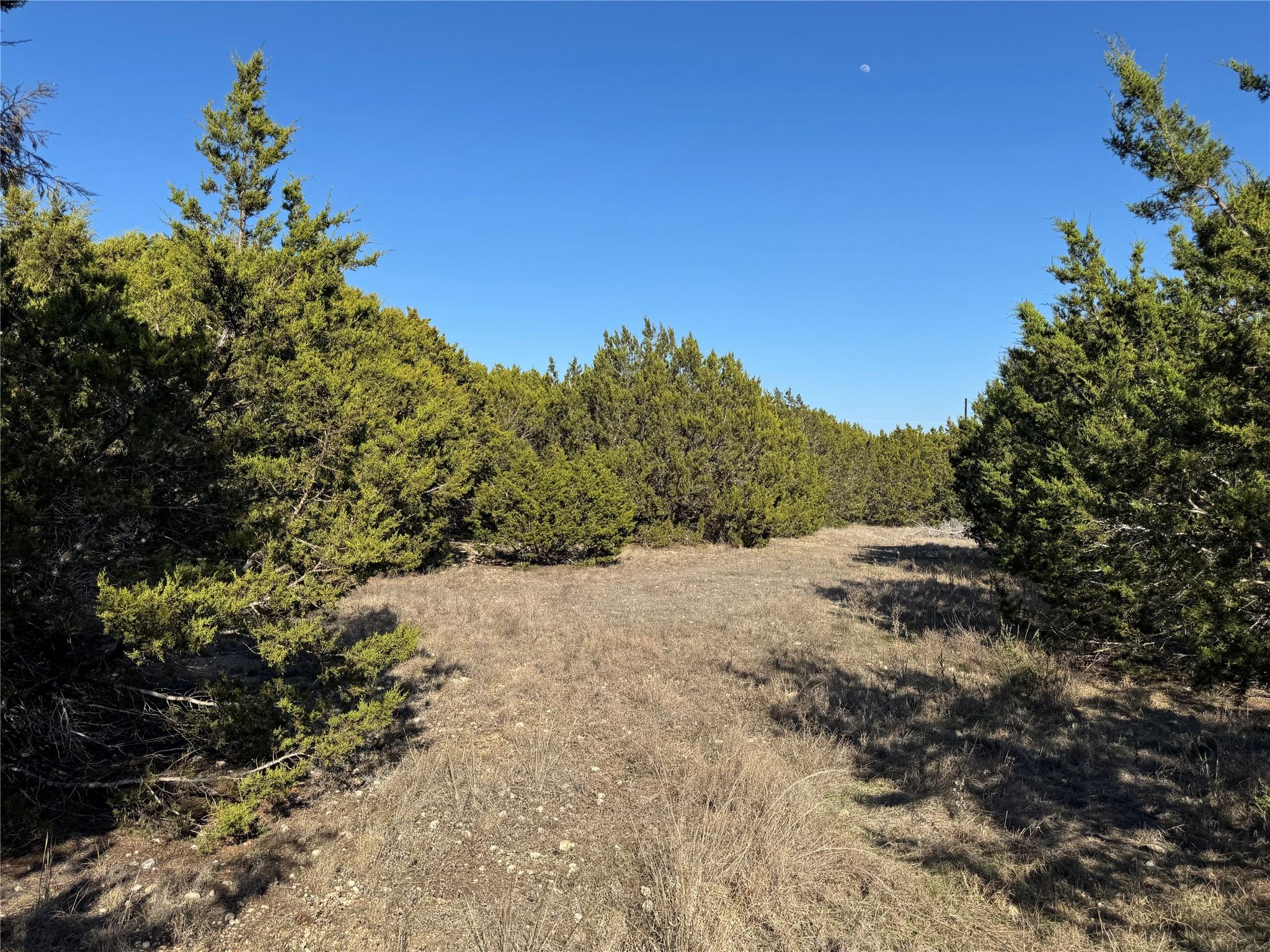 lot 8 Ethan Ln, Burnet, TX 78611