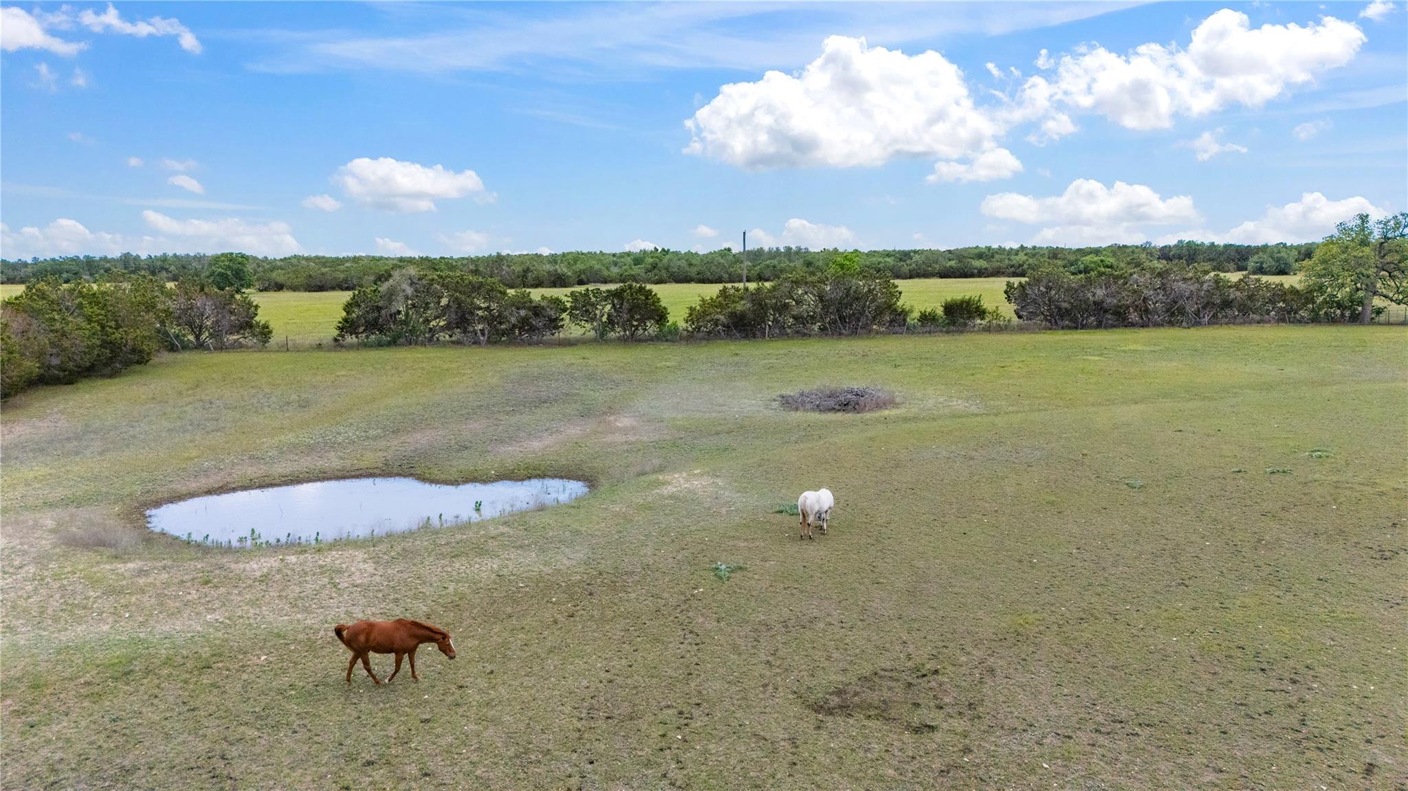 2055 County Road 284 # Parcel A, Liberty Hill, TX 78642
