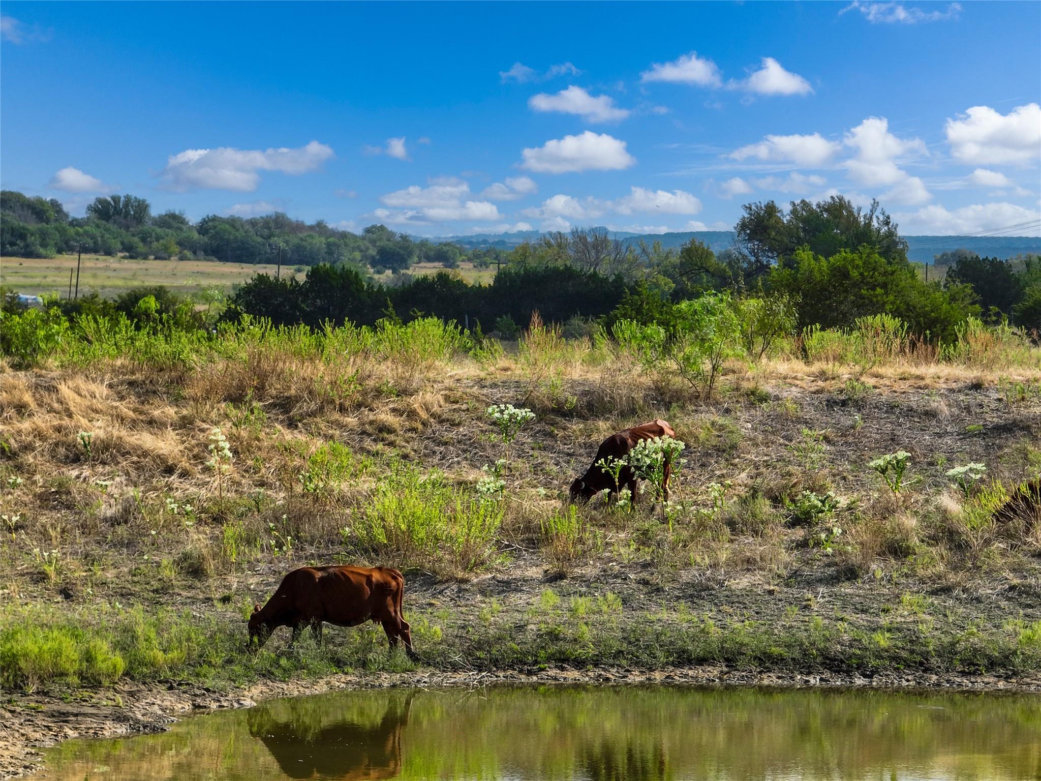 000 HWY 281, Lampasas, TX 76550